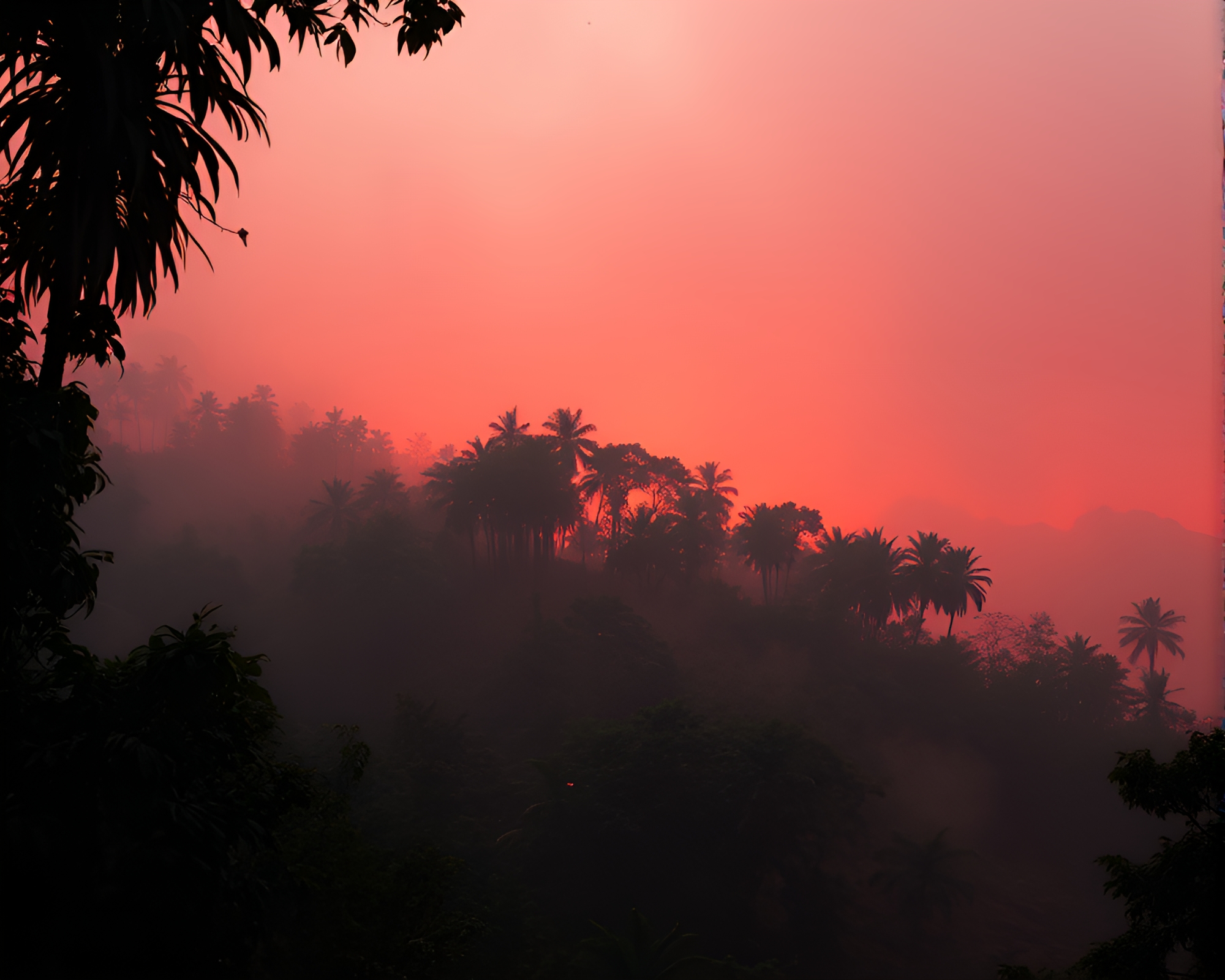 Floating Embers Jungle: Washed-out Fantasy Landscape – free AI stock image