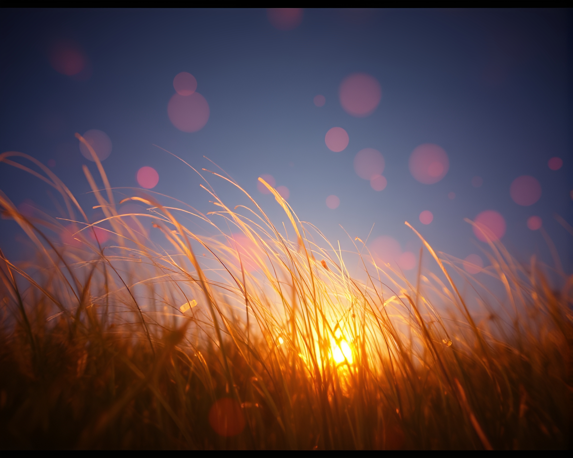 Vibrant Sky Garden with Futuristic Hair Simulation Effects – free AI stock image