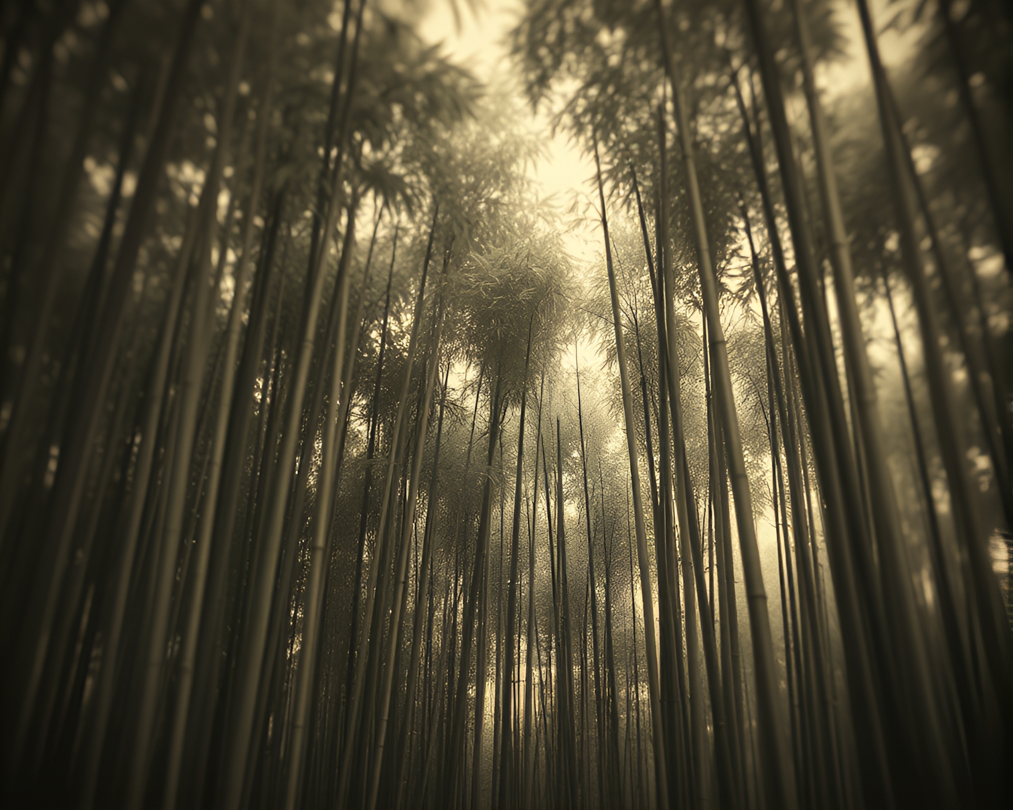 Serenity in Desolation: Bamboo Grove Vignette – free AI stock image