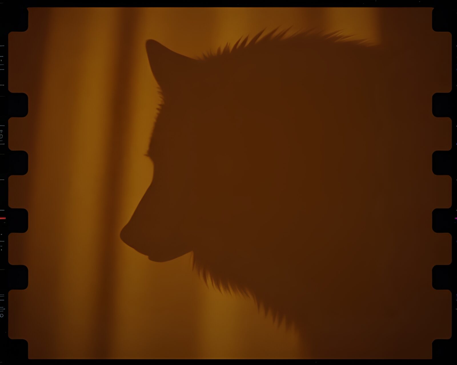 Artistic flat color depiction of werewolf on film reel
