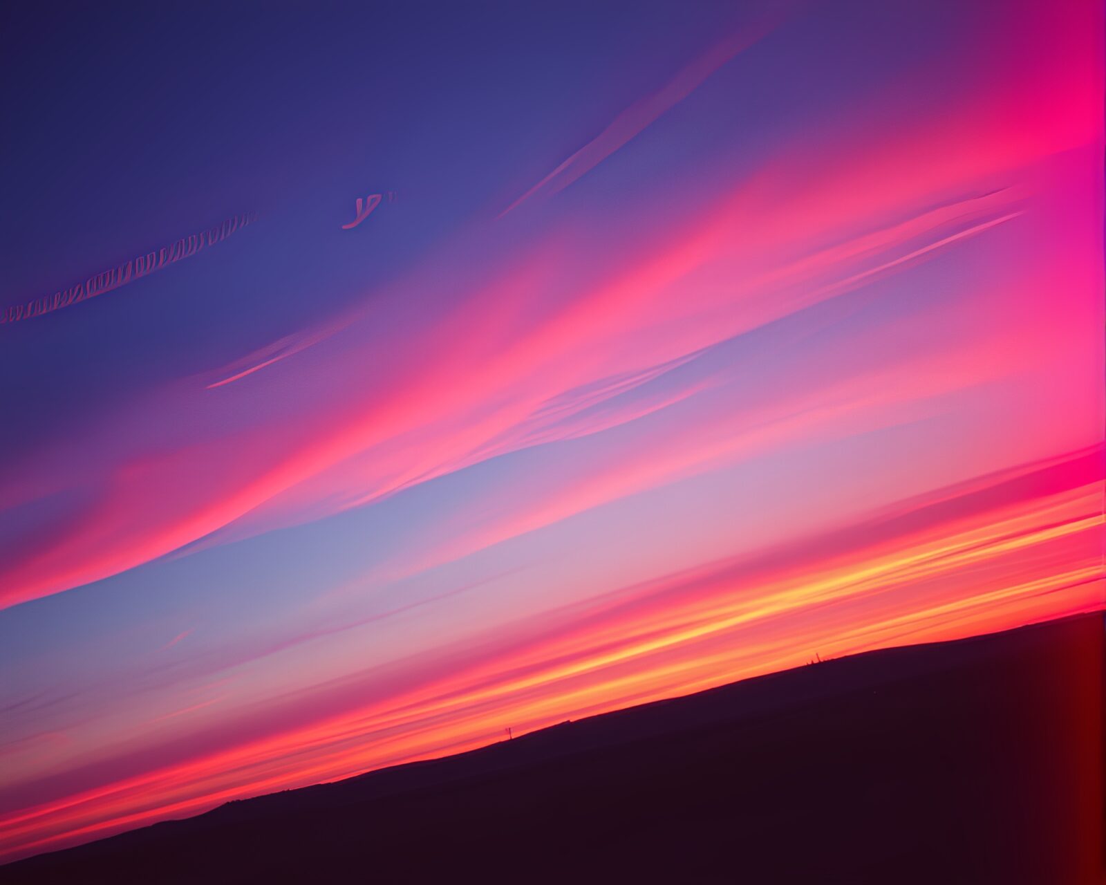 Majestic zebra in duochrome tones with sunset cityscape backdrop