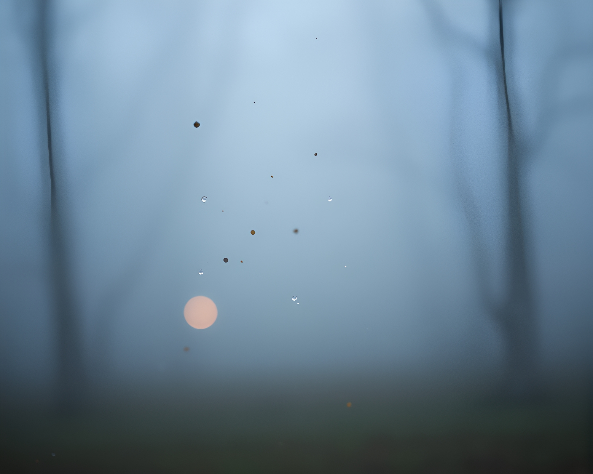 Taco stand amid floating particles in dreamy haze – free AI stock image
