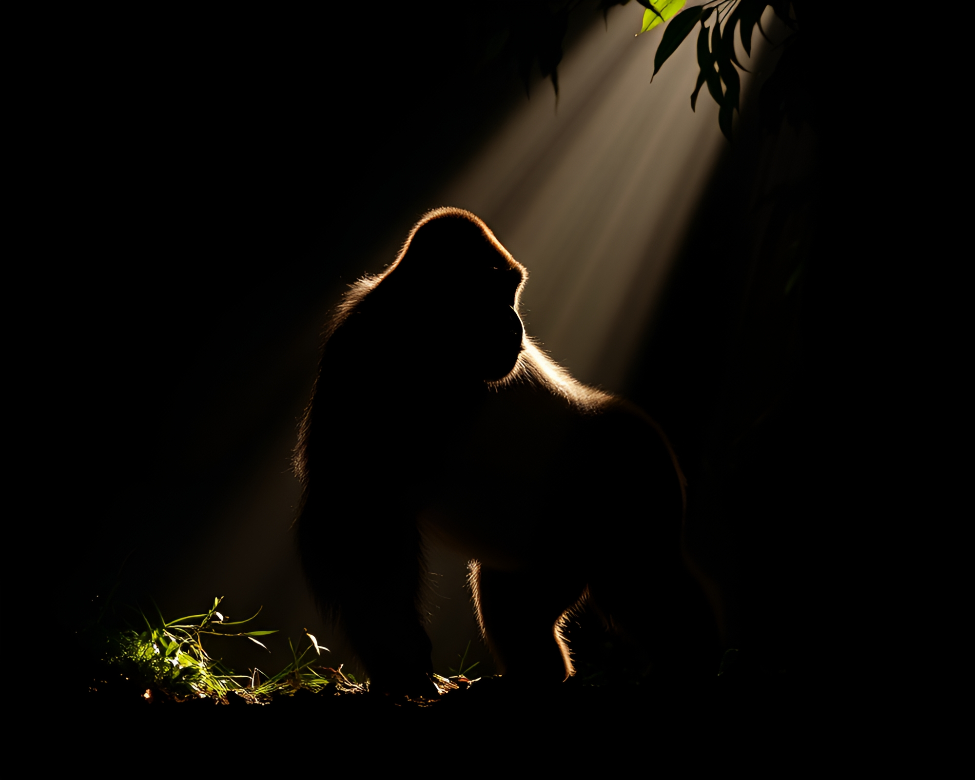 Gorilla King bathed in dazzling light trails – free AI stock image