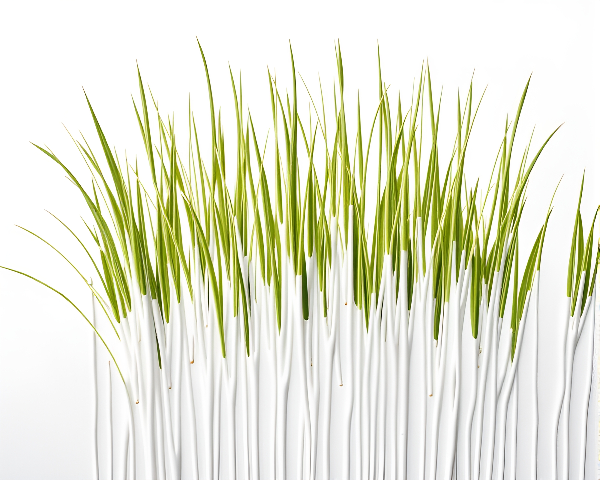 Savannah Grass Dripped Ivory White Landscape – free AI stock image