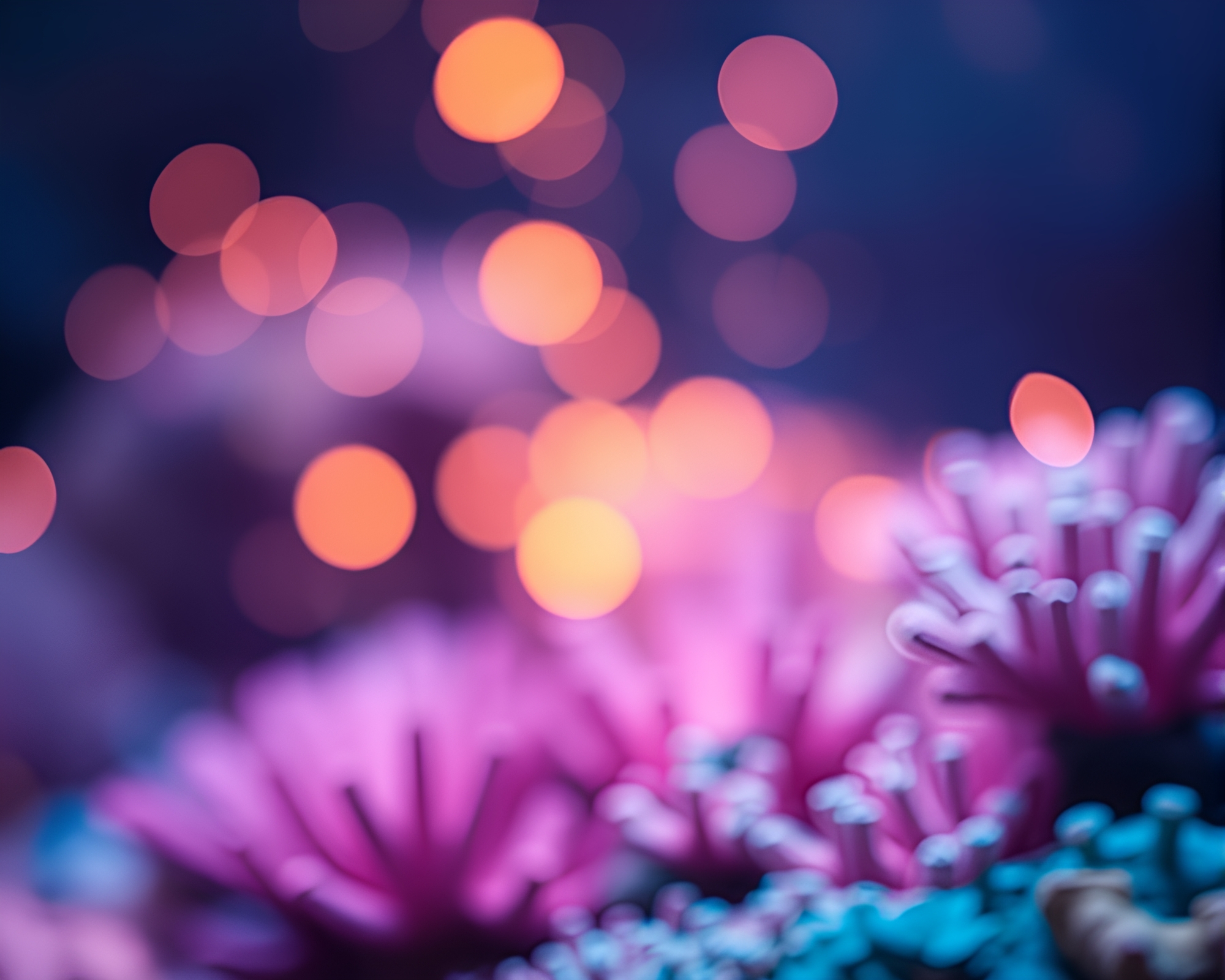 Vibrant Bokeh Coral Reef Minimalist Scene – free AI stock image