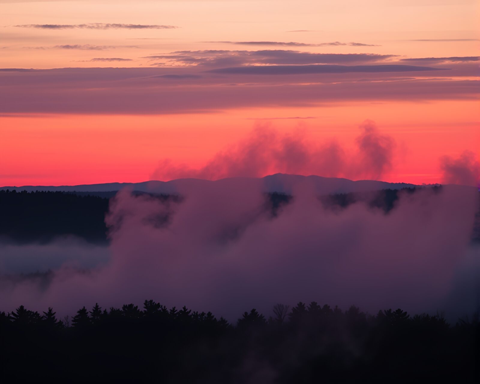 Steam vapor swirls around a mystical trumpet at dusk