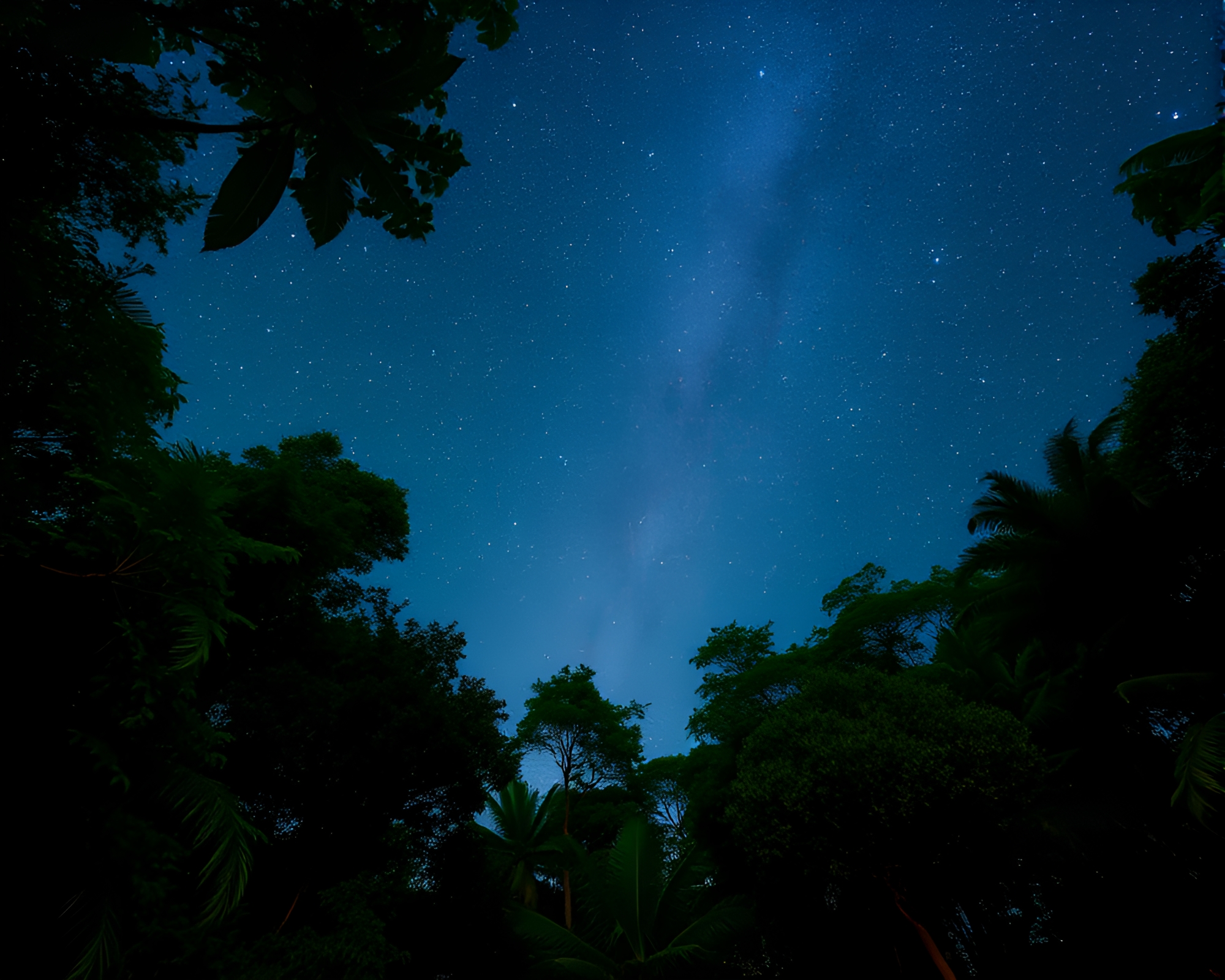 Starlit Rainforest Canopy Zoom Burst Etching – free AI stock image