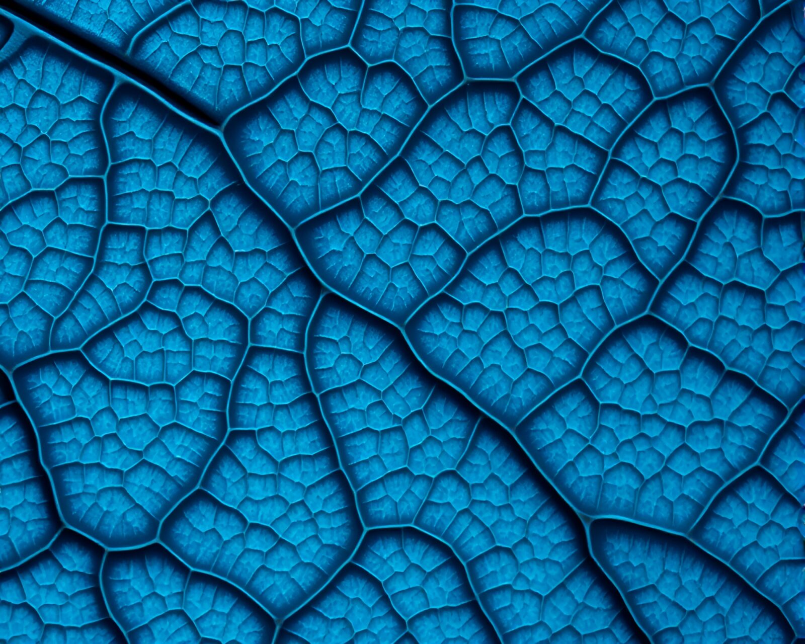Intricate leaf vein patterns on a saxophone glowing arctic blue