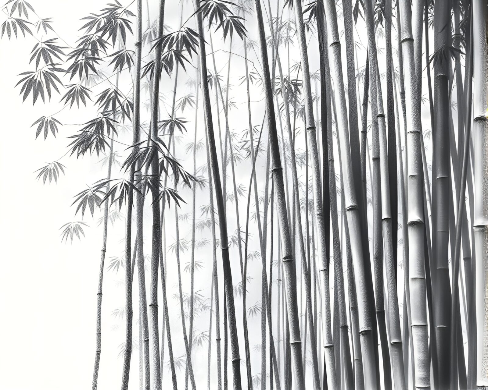 Detailed crosshatched bamboo grove in acid wash colors