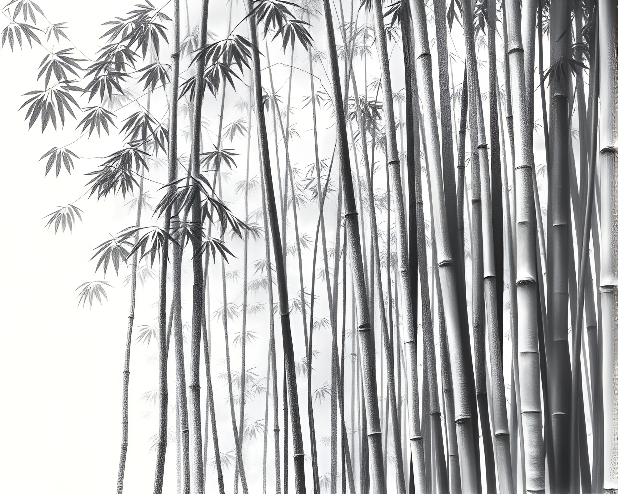 Bamboo Grove Crosshatching Algorithmic Art – free AI stock image
