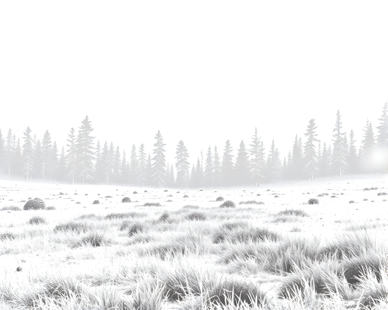 16-bit style image of geyser field eruption in ivory white tones