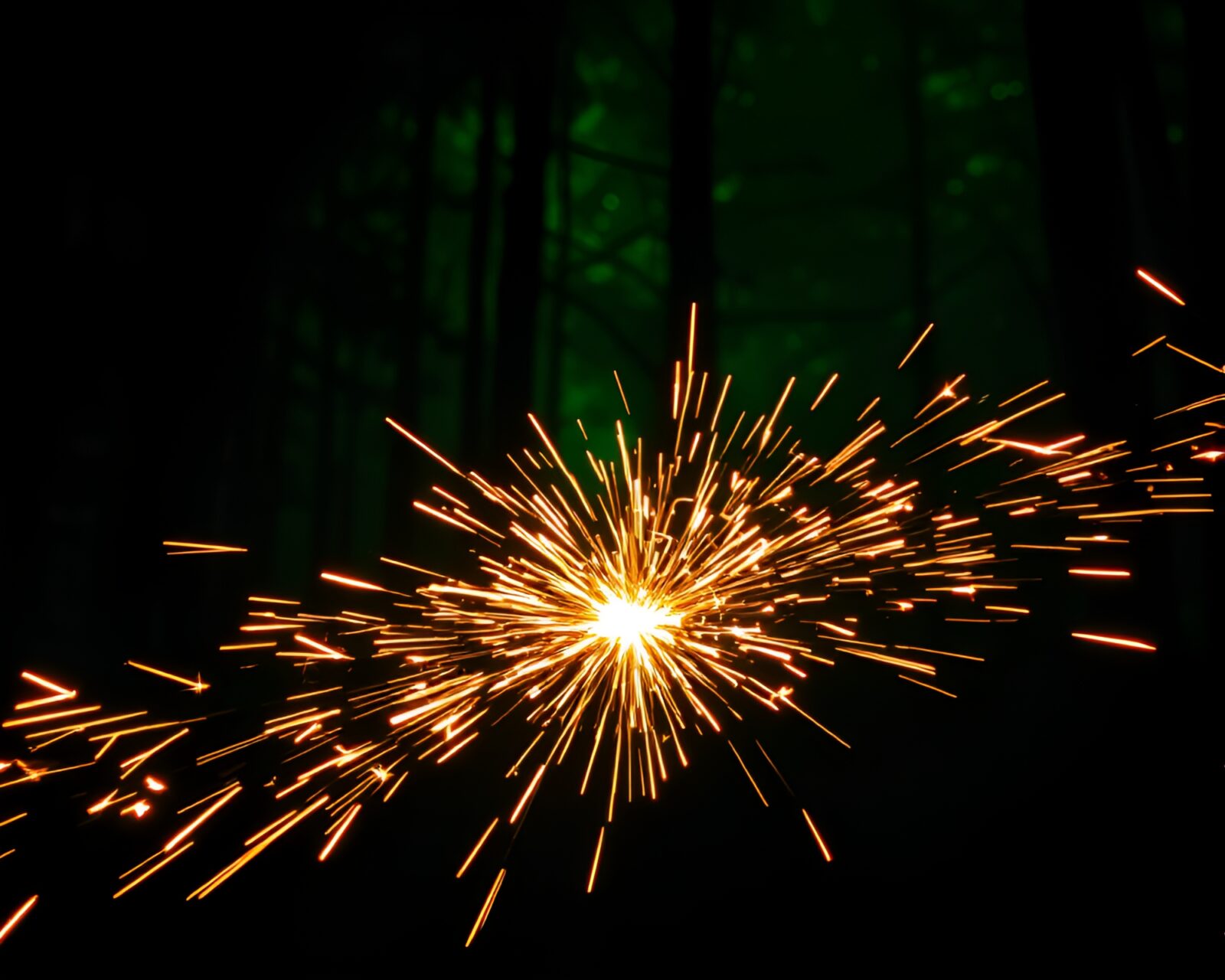 Vibrant neon sign in a mystical forest setting with sparkler light trails