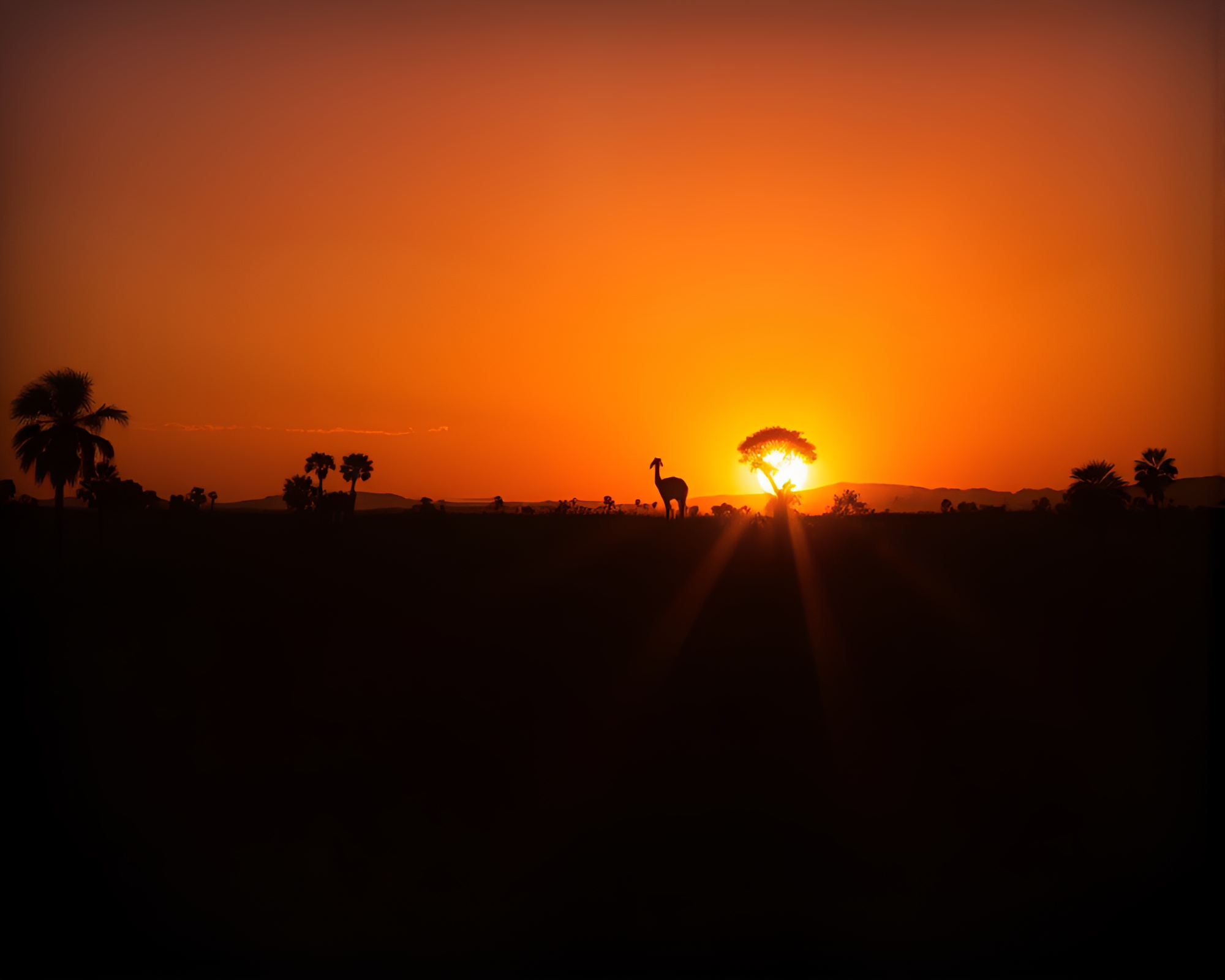 Savanna Sunset Shadow Play in Retrowave Style – free AI stock image