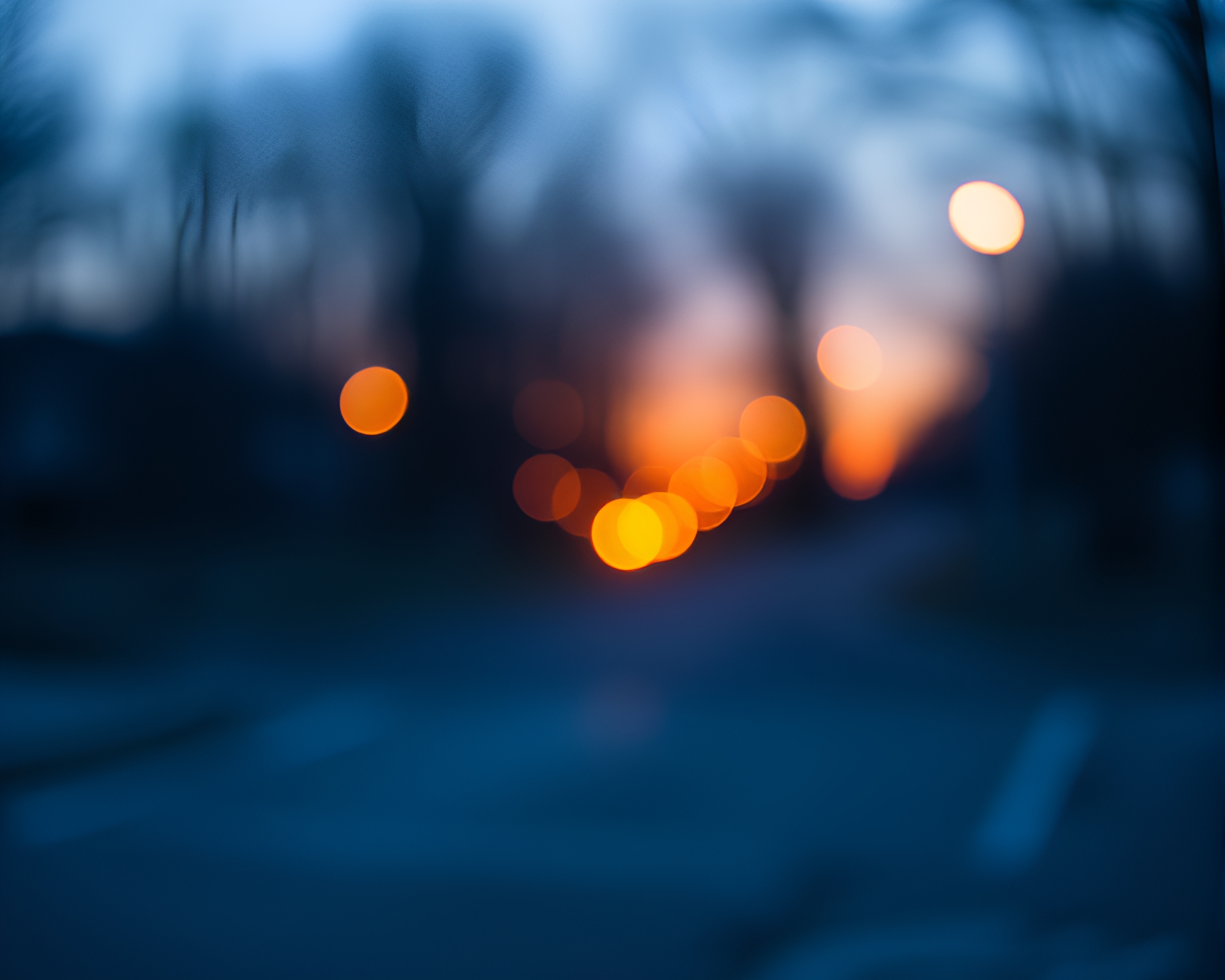 Holographic Deer at Dawn – free AI stock image