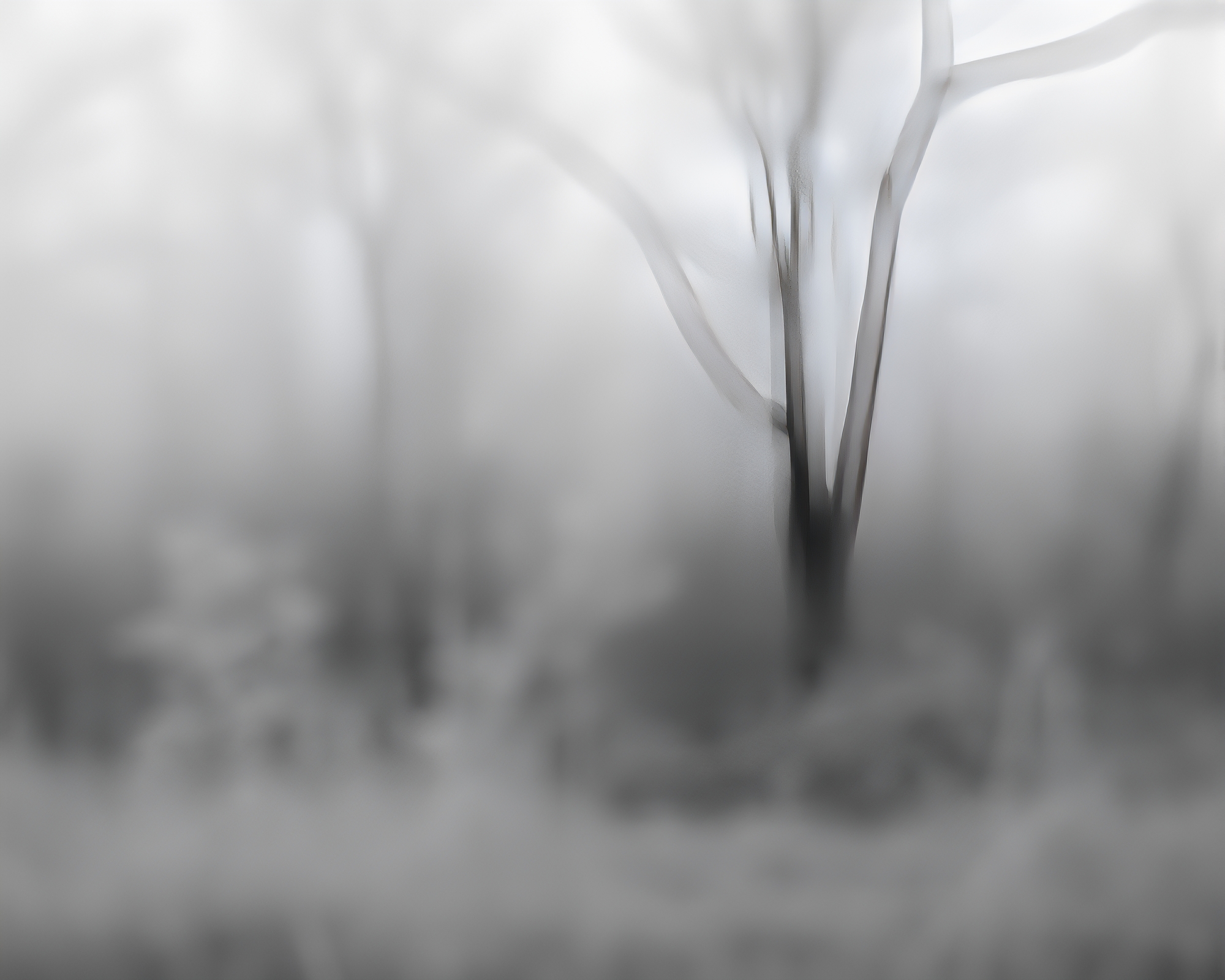 Misty Monochrome Shield With Soft Focus Background – free AI stock image