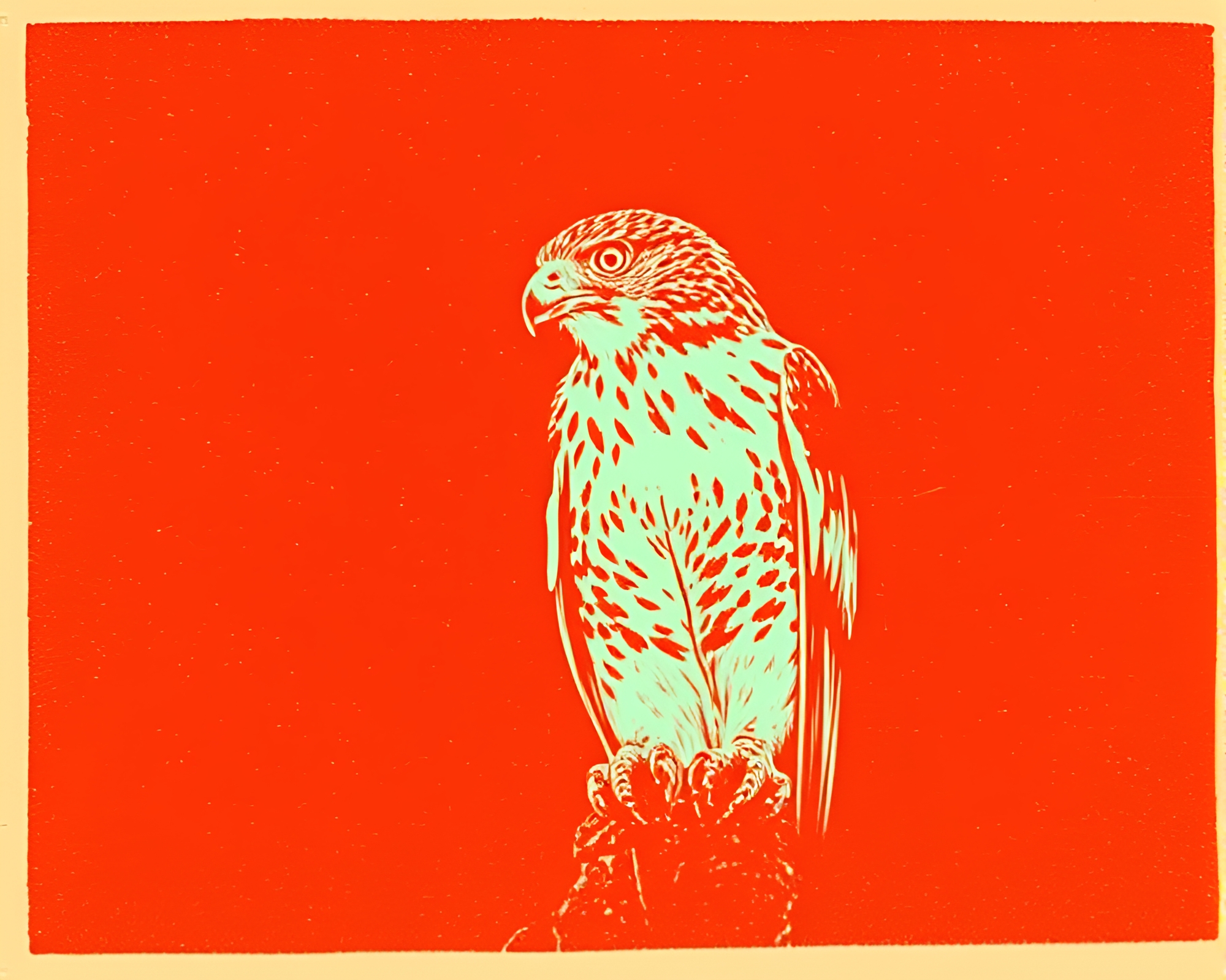 Falcon in Bioluminescent Infrared Linocut – free AI stock image