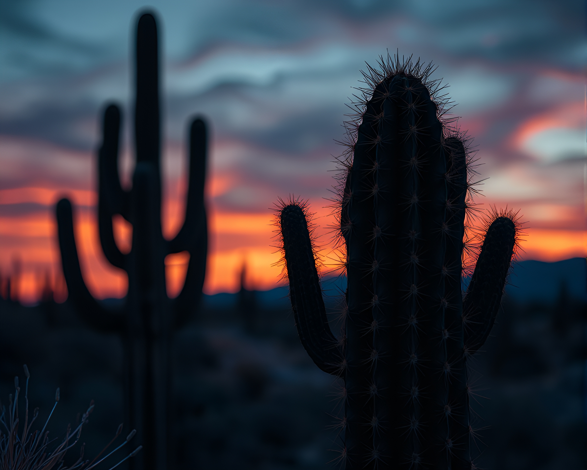 Desert Cactus Blueprint Close-Up at Twilight – free AI stock image