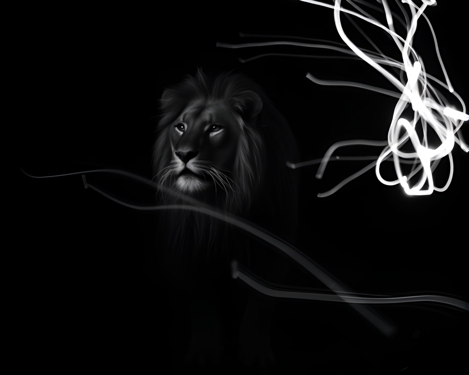 Mysterious lion amidst swirling indigo light trails in monochrome