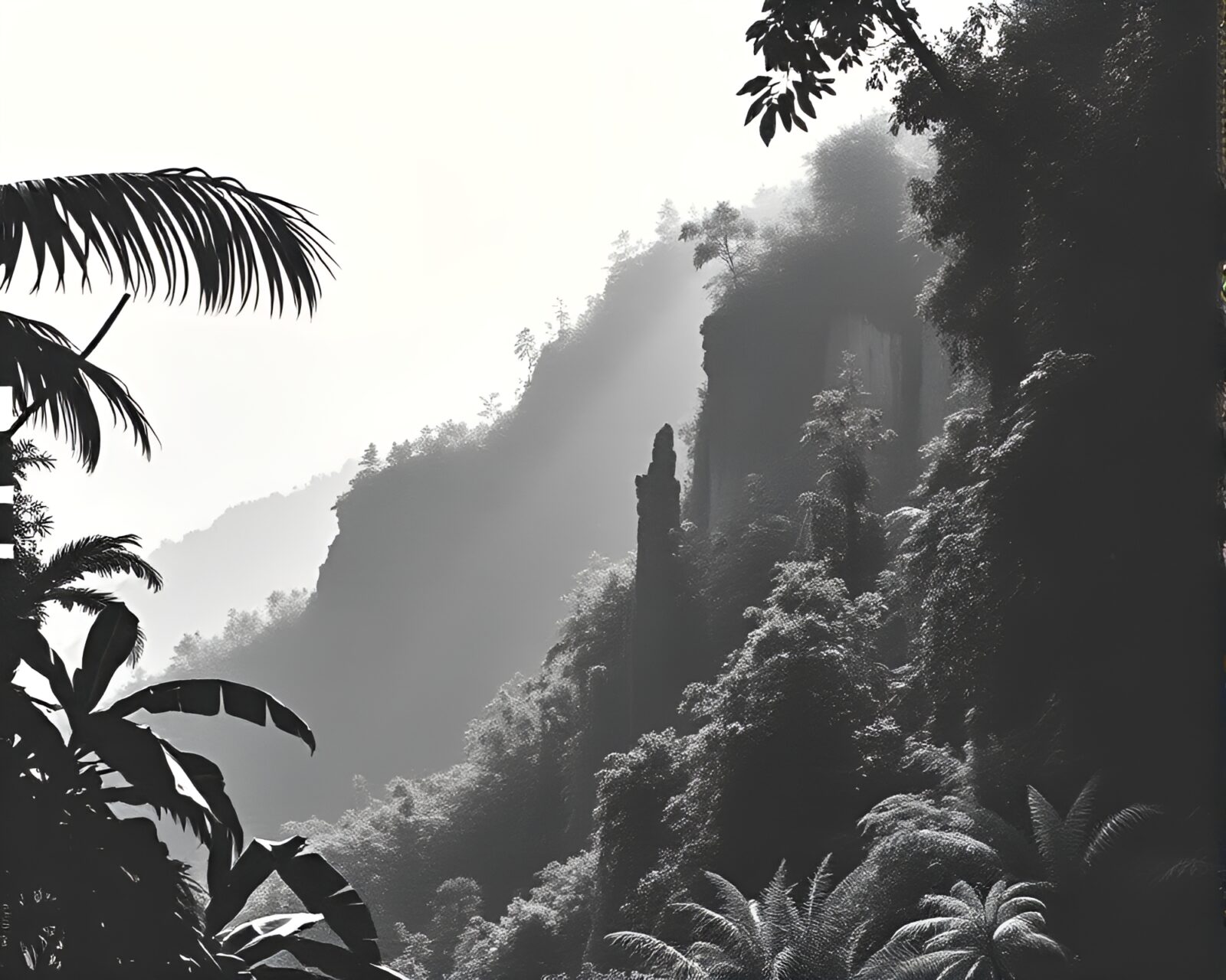 Illustration of a jungle cliff with halftone grid overlay
