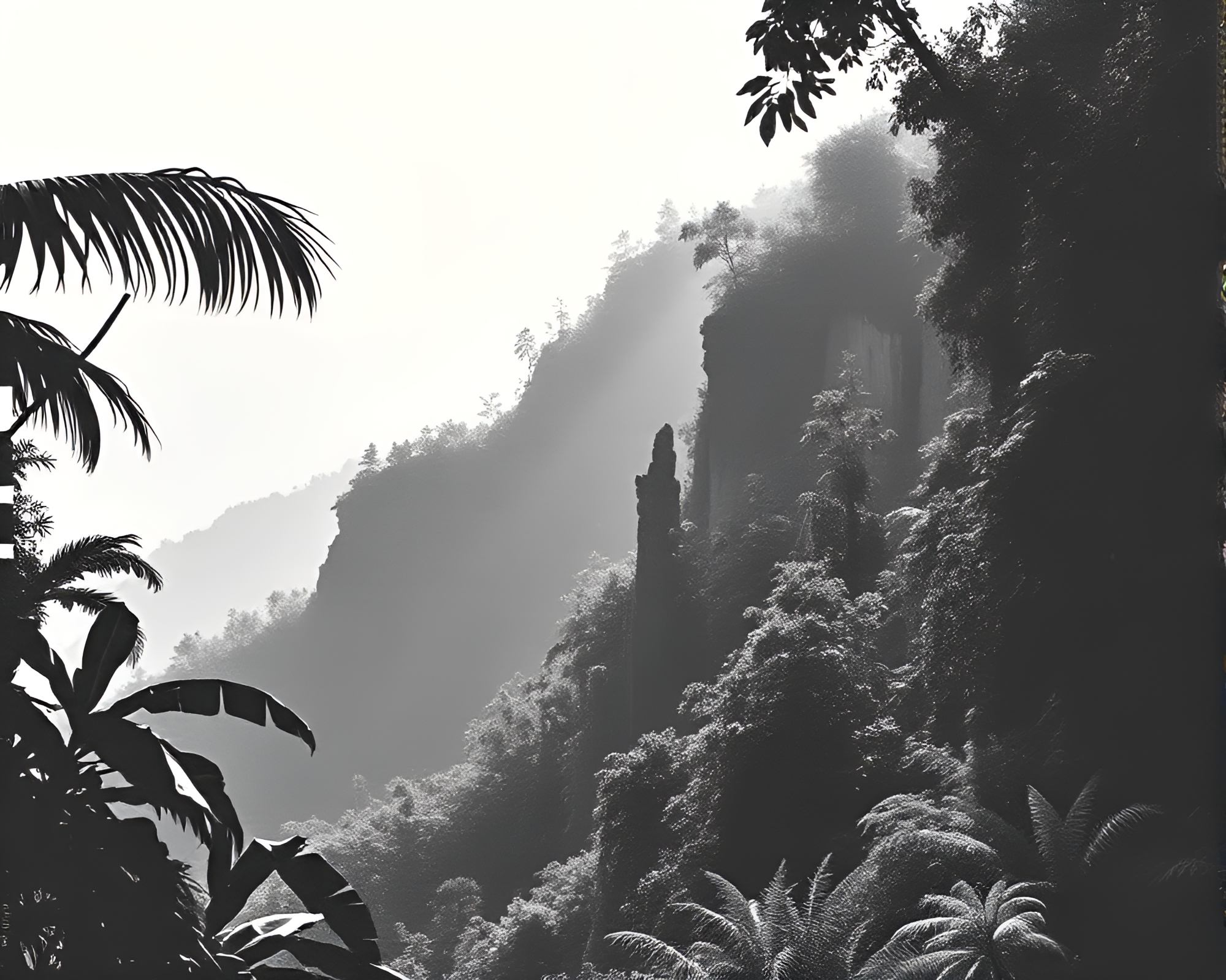 Jungle Cliffside Shadows in Halftone Collage – free AI stock image