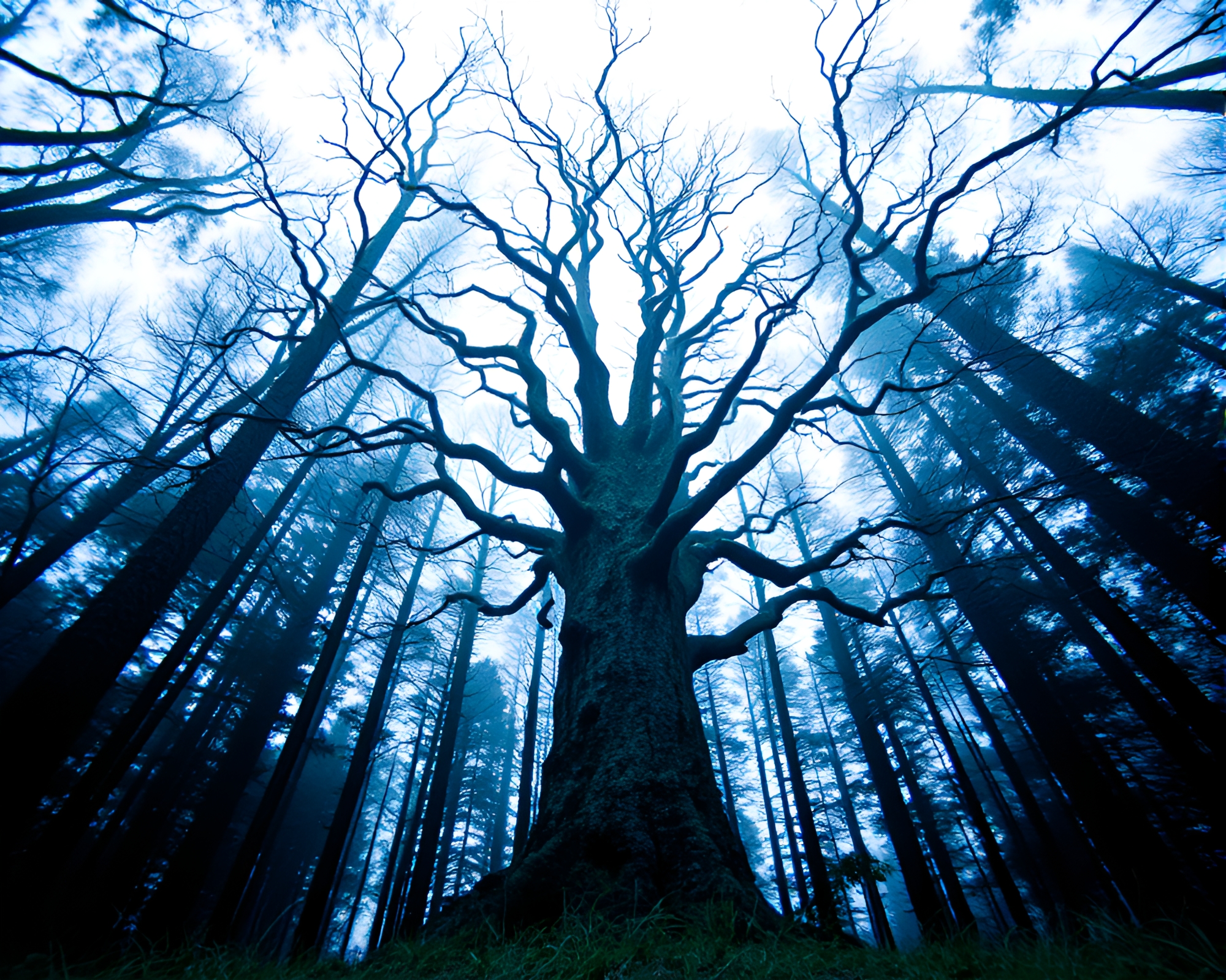 Leviathan Tree Rings in VHS Distortion Dream – free AI stock image