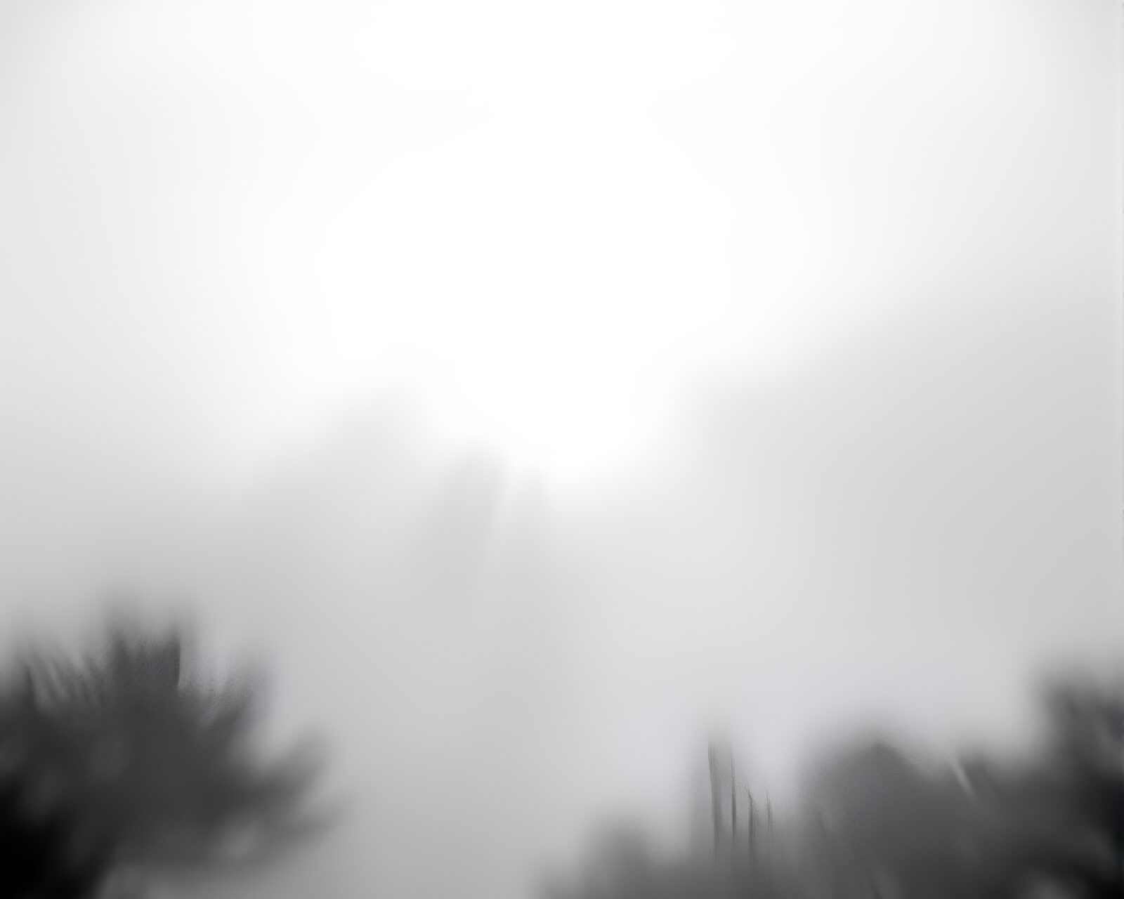 Tilt-shifted lens sunburst on misty charcoal sketch landscape