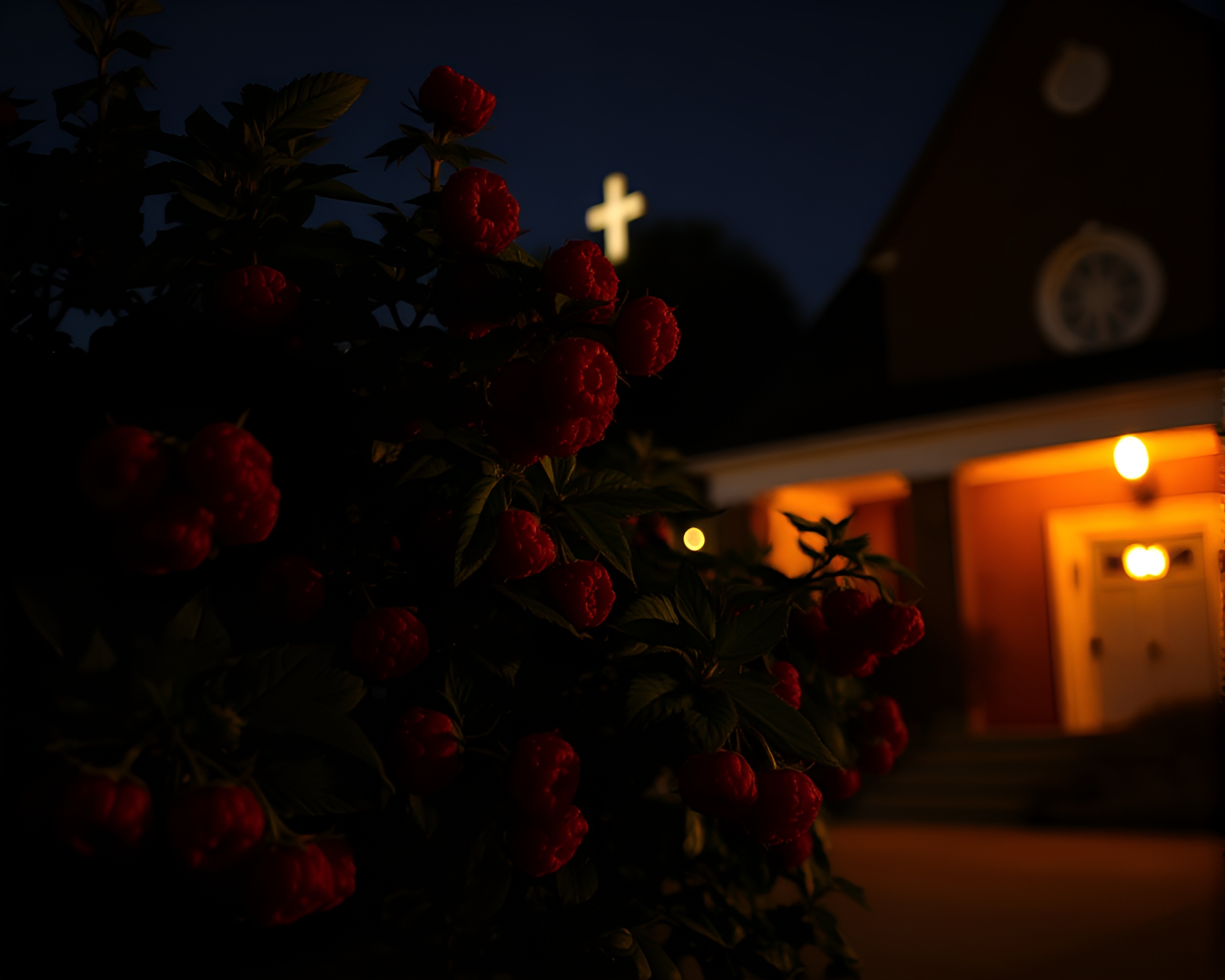 Raspberry Bush Illuminated by Church Candlelight in Film Burn Style – free AI stock image