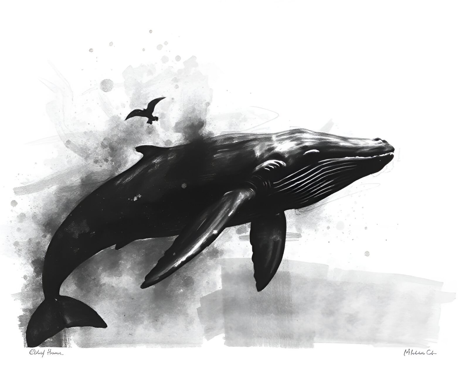 Dark lithograph of a whale swimming in charcoal strokes