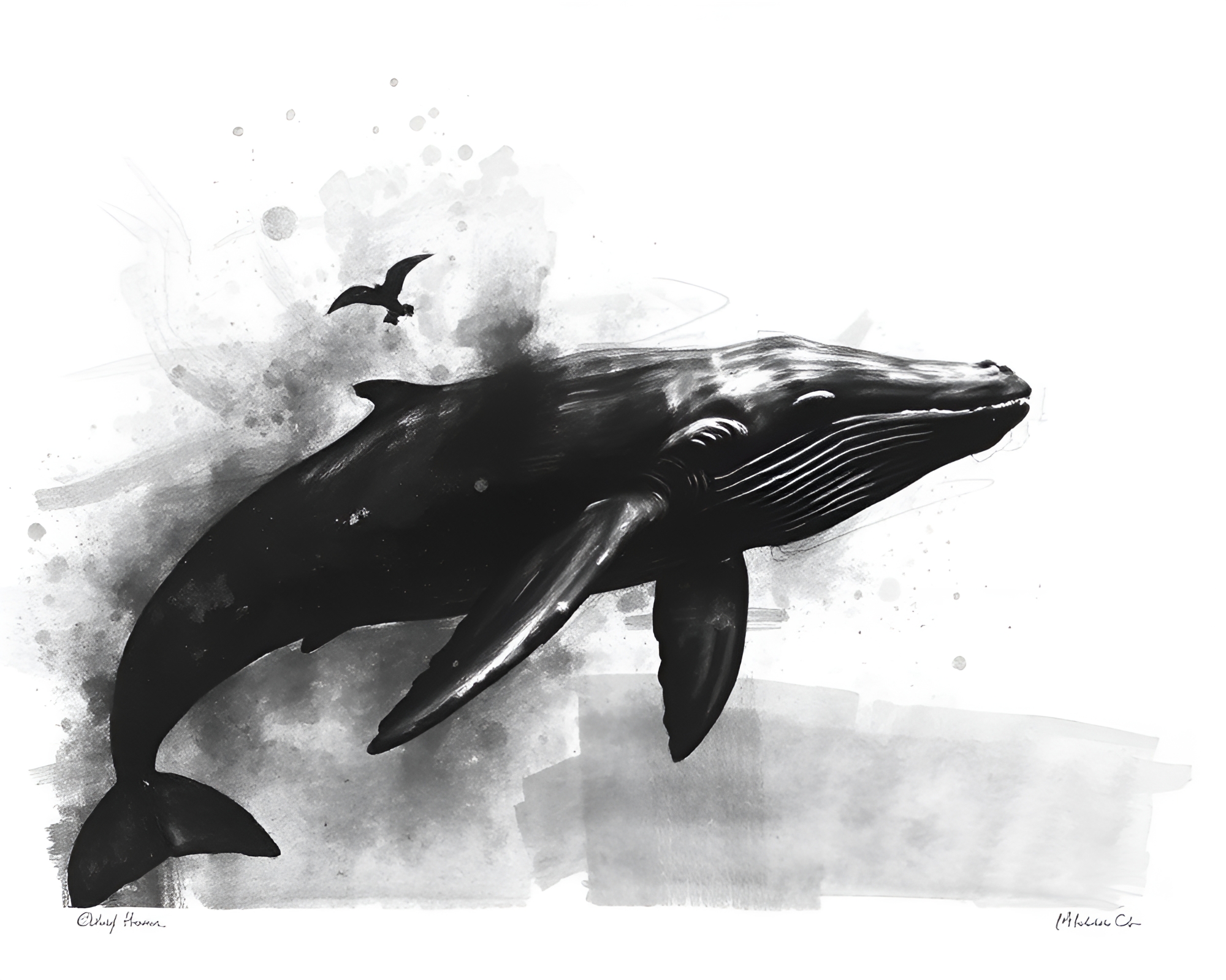 Whale Swimming in Charcoal Noir Lithograph Art – free AI stock image