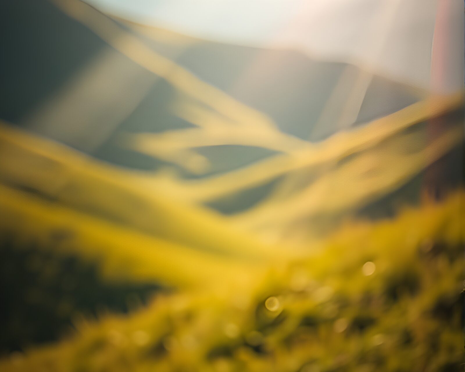 Surreal valley scene with mesmerizing light streaks and depth
