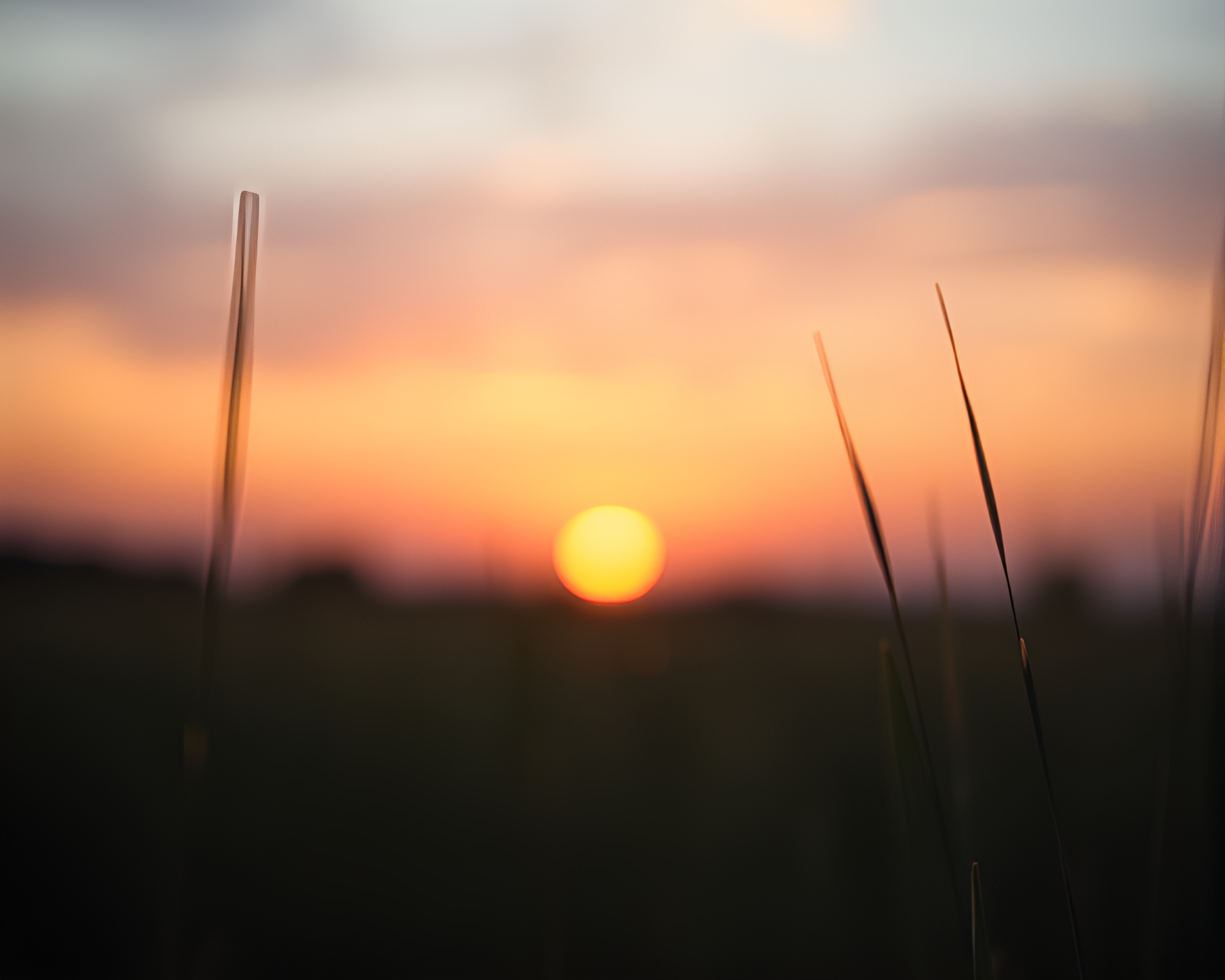 Vaporwave Sunset with Peachy Glow and Paper Tears – free AI stock image