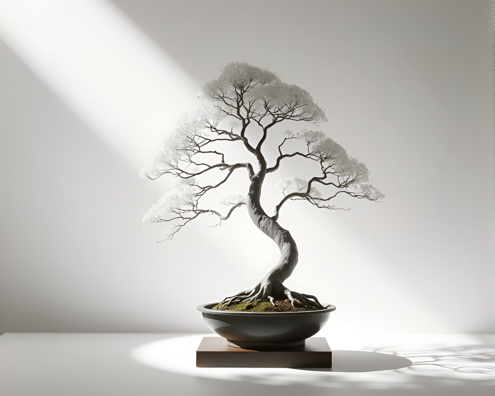 Elegant gradient mesh bonsai tree casting intricate shadows
