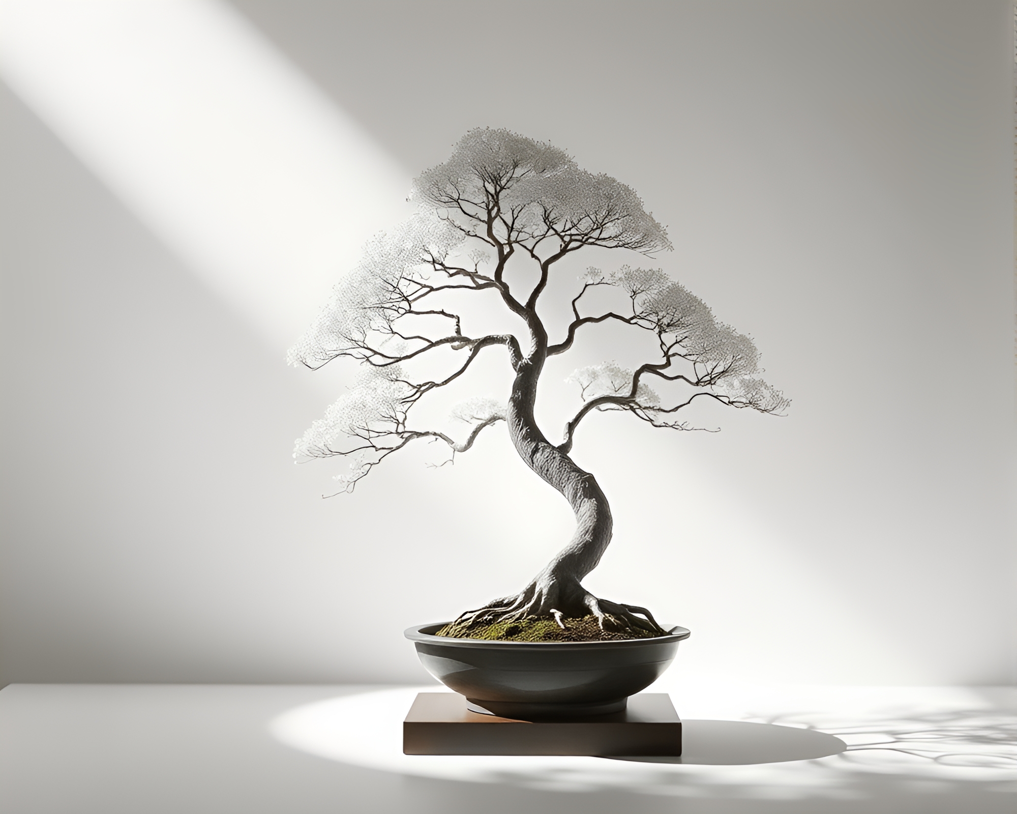 Ivory White Bonsai Tree Gradient Mesh Shadow Play – free AI stock image