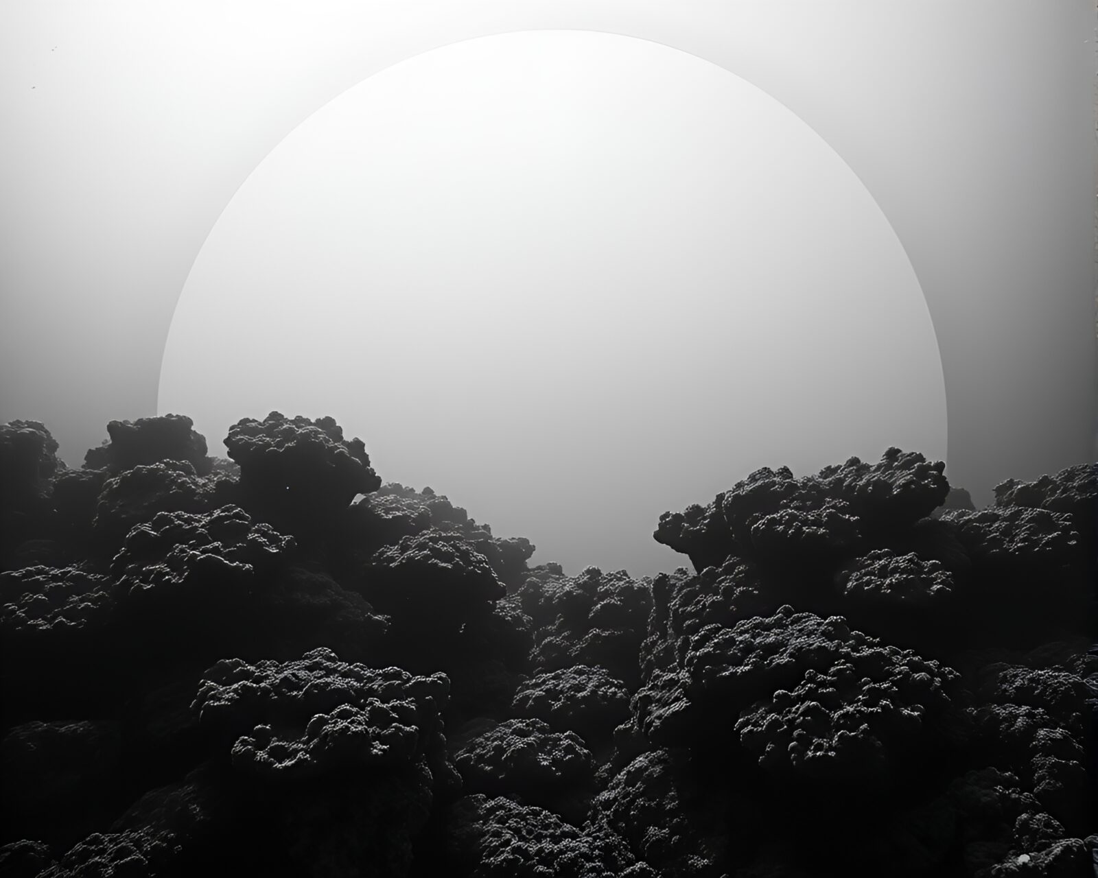 Ethereal coral reef in stark Antarctic light and shadow