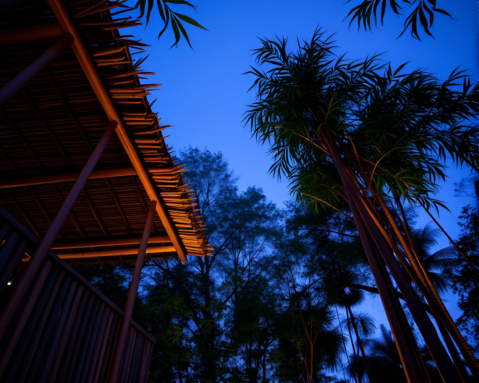 Low-angle shot of a rustic bamboo hut at dusk