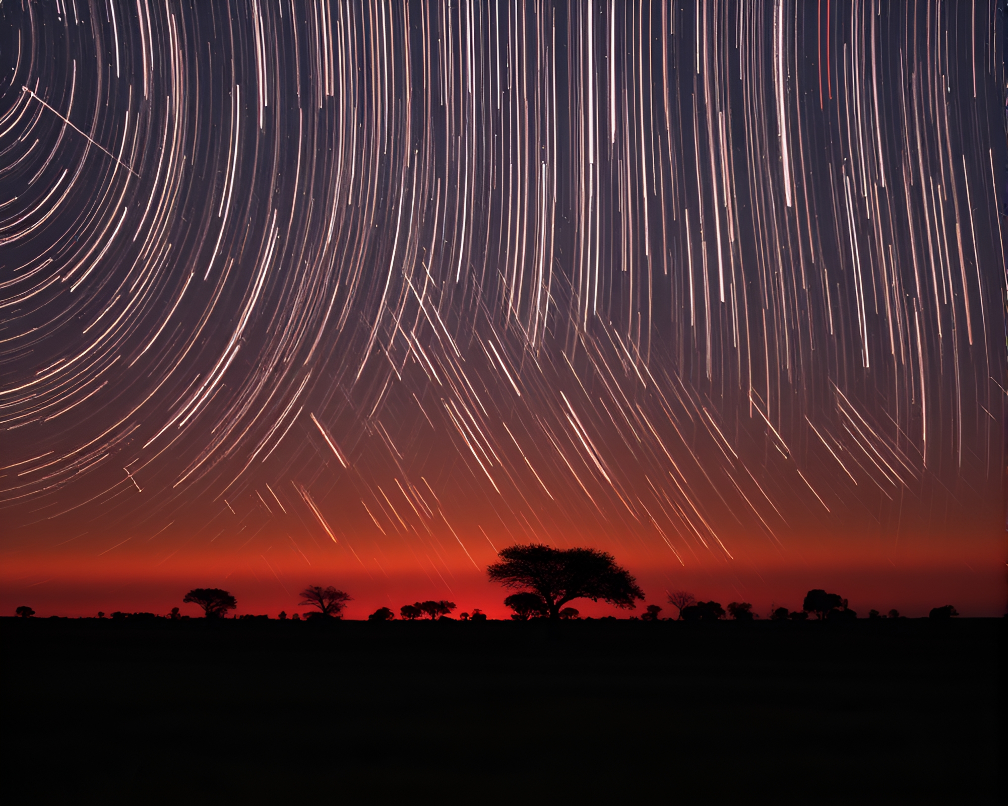 Savanna Sunset Star Trails Film Grain Simulation – free AI stock image