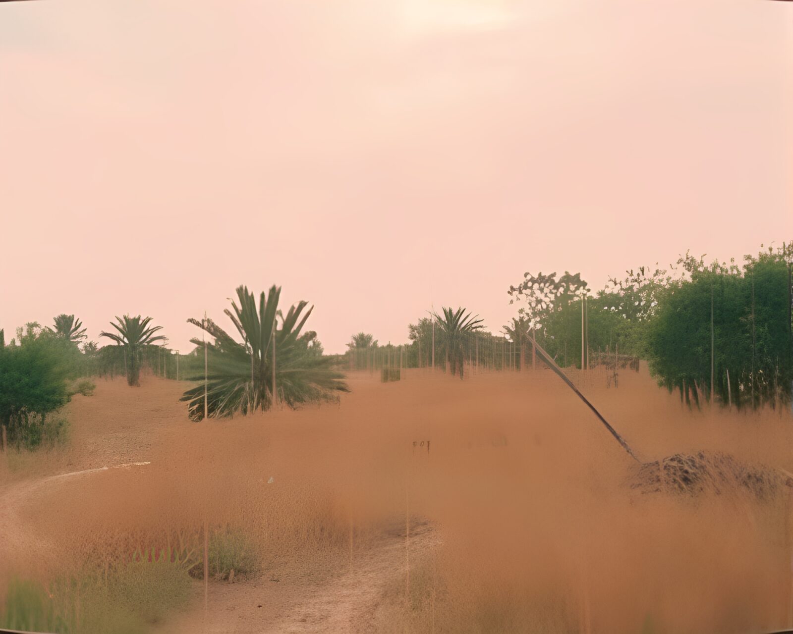 Muted earth tones with VHS style sky garden