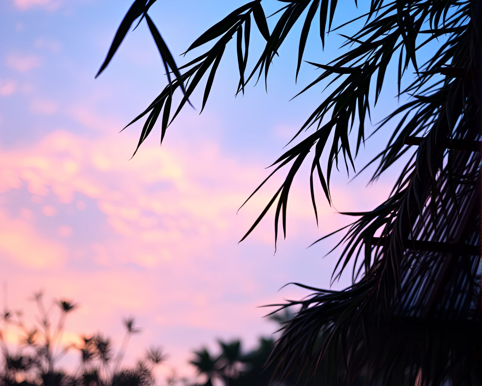 Close-up of vibrant stained glass bamboo hut at sunrise