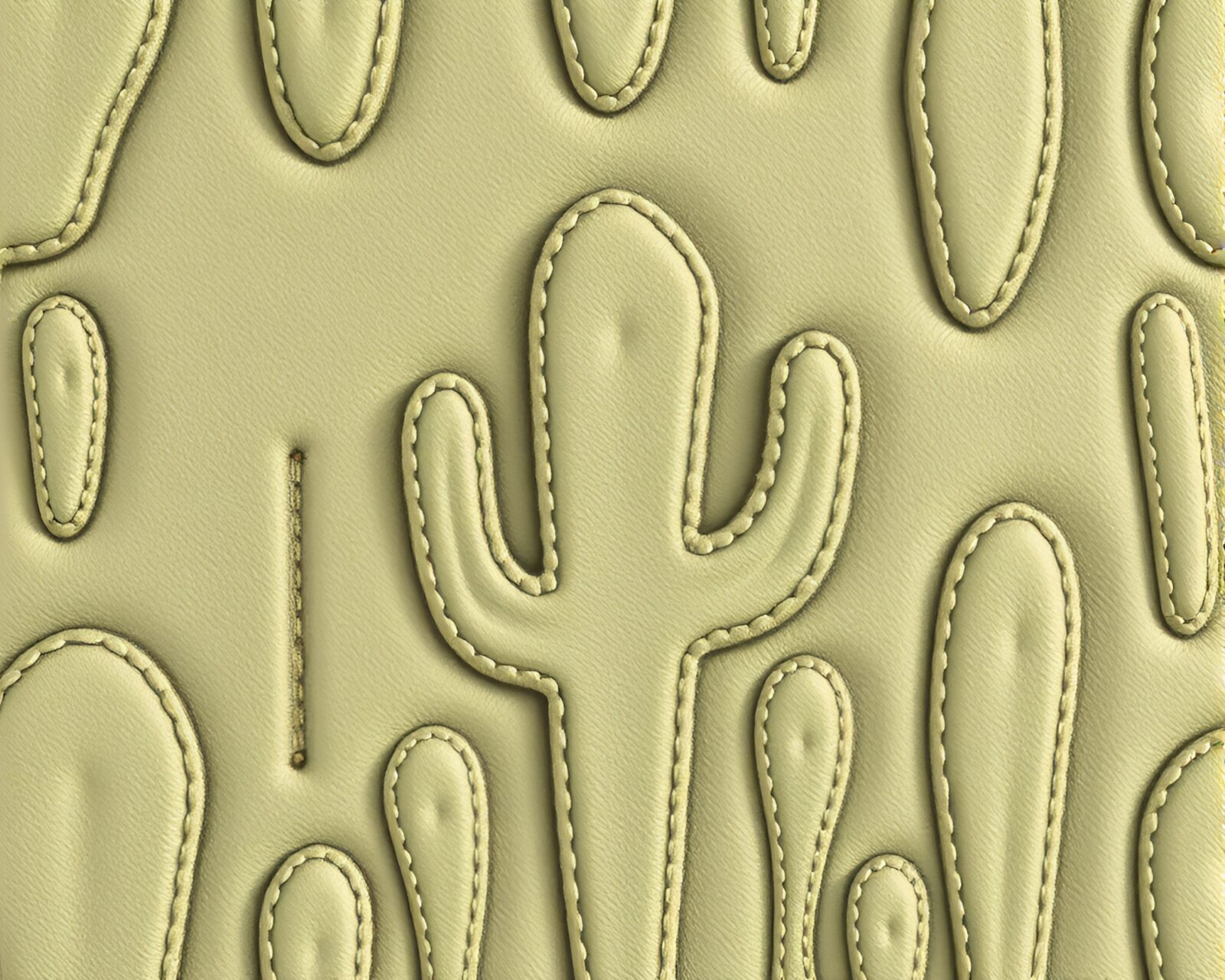Cactus plants arranged in a stitched pattern with matte lighting
