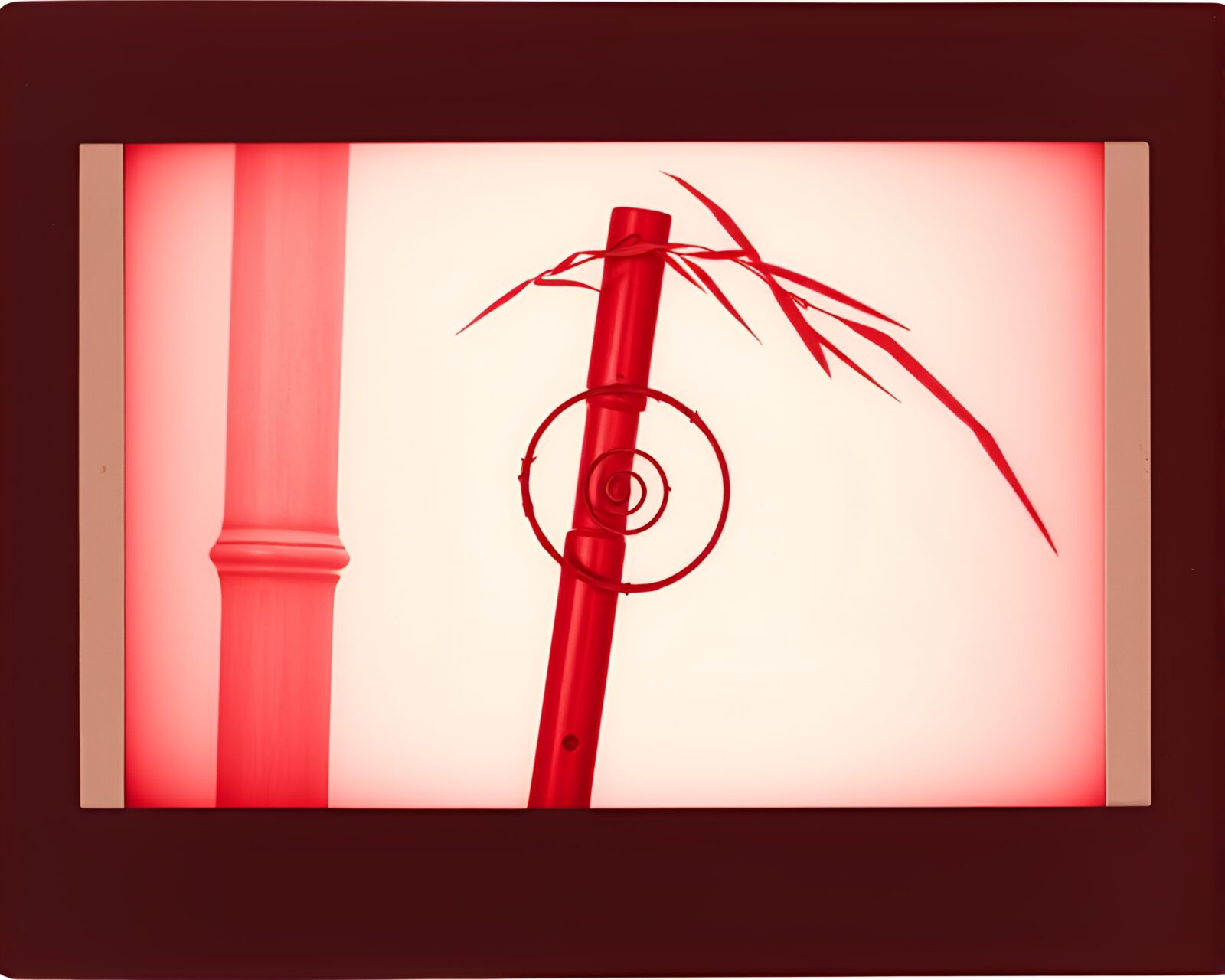 Elegant Polaroid frame image of spiral bamboo flute
