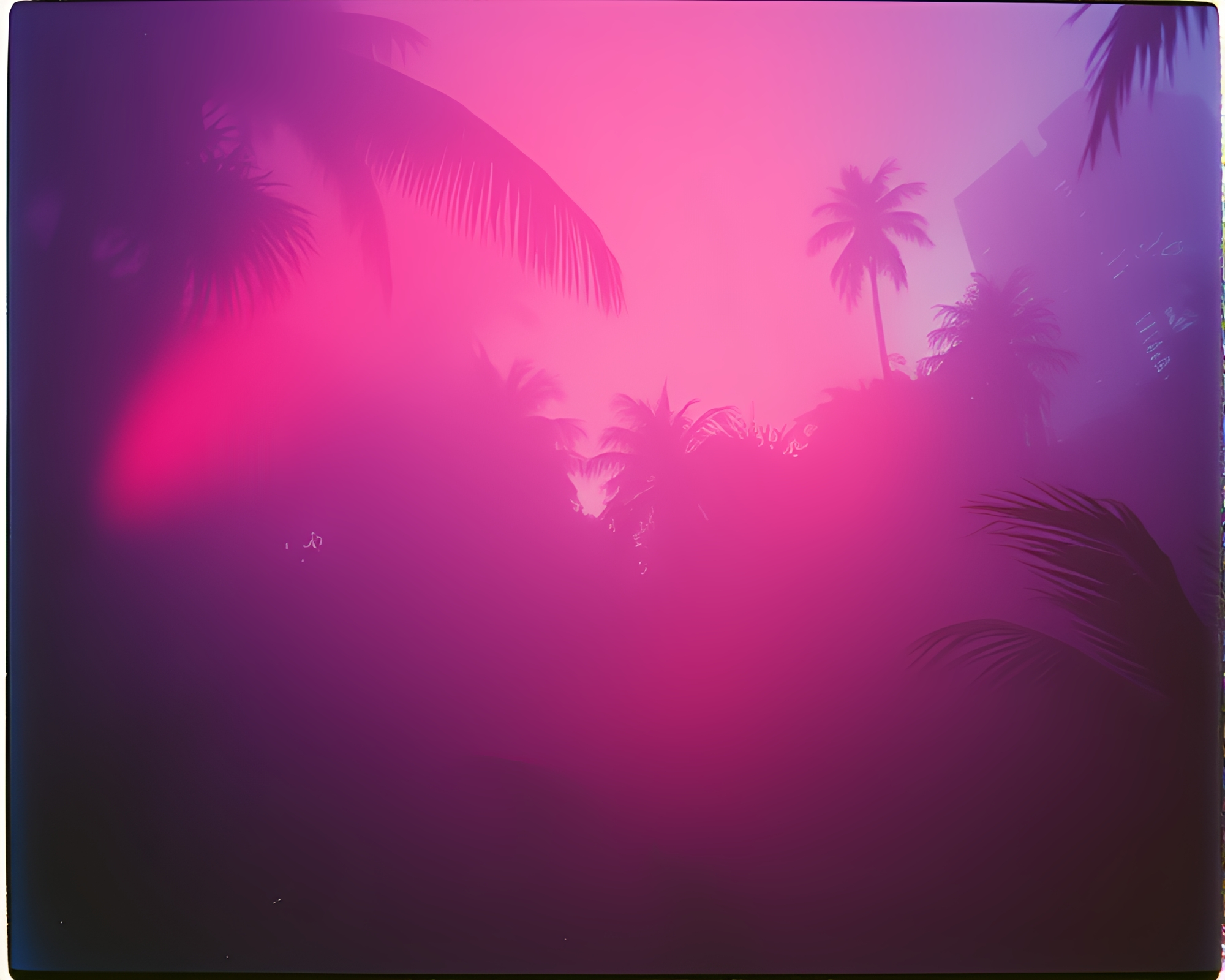 Misty Jungle Neon Glow Polaroid – free AI stock image
