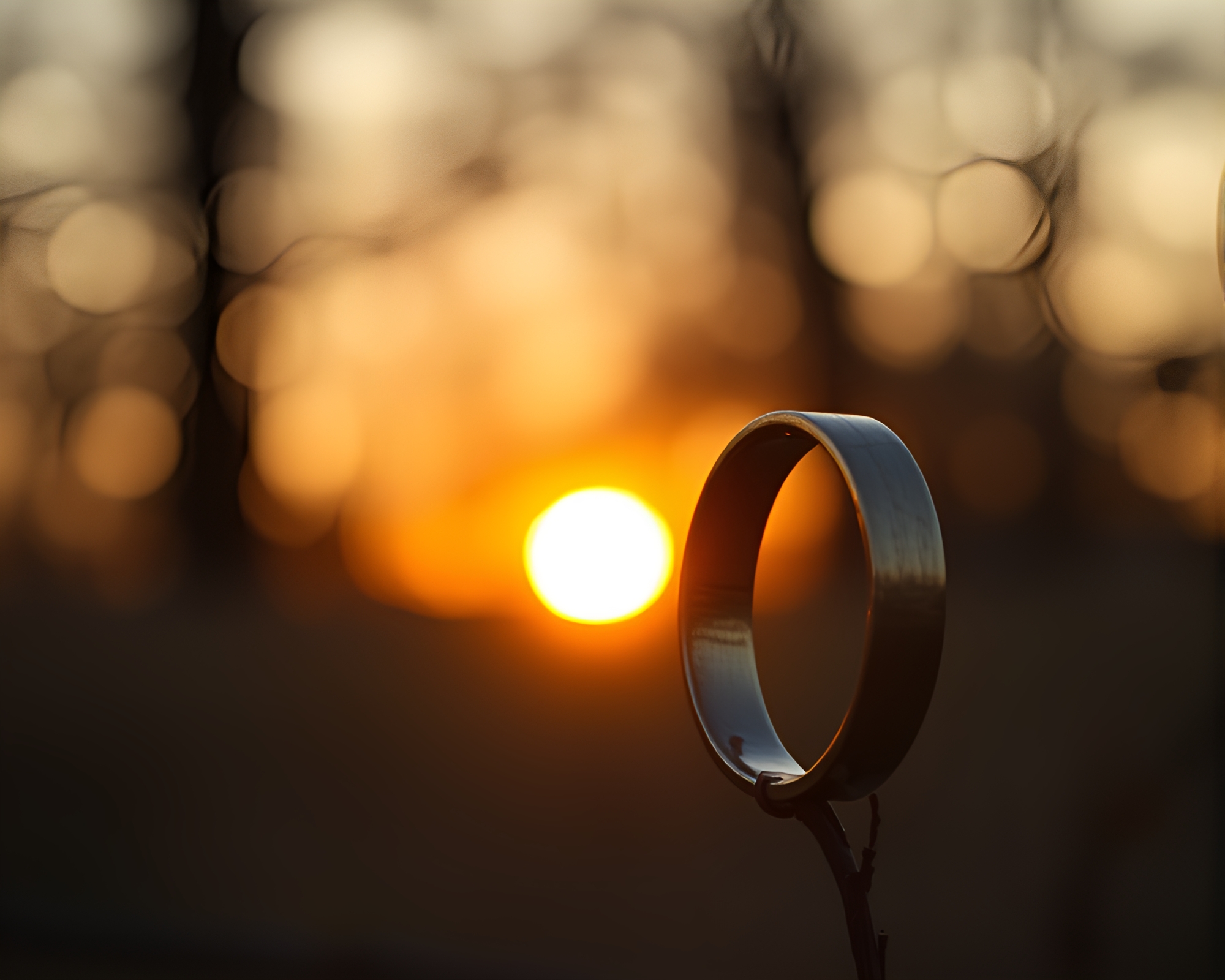 Enchanting Twilight Ring Bokeh Forest Animation Still – free AI stock image