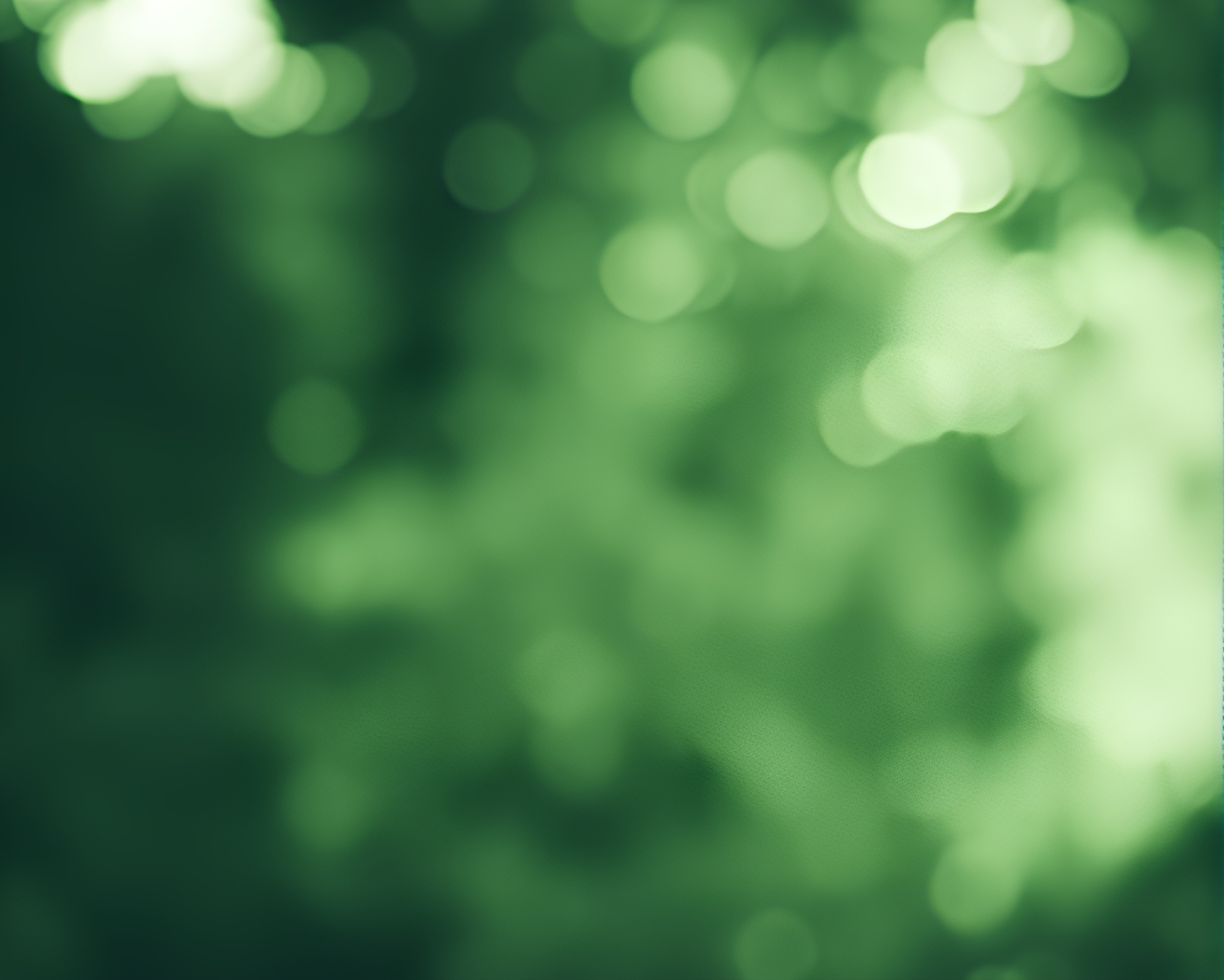 Binary Code Matrix in Monochrome Green – free AI stock image