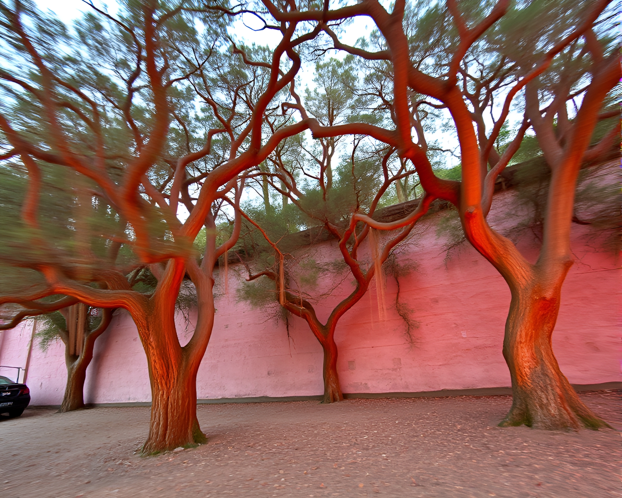 Captivating Ancient Grove in Blush Pink Contours – free AI stock image