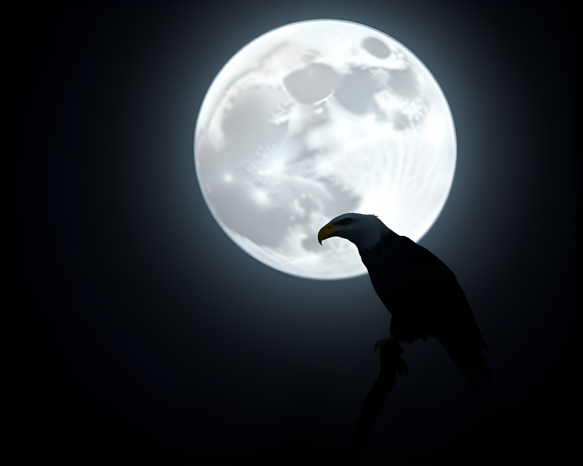 Moonlit Eagle Soaring Through the Night Vignette – free AI stock image