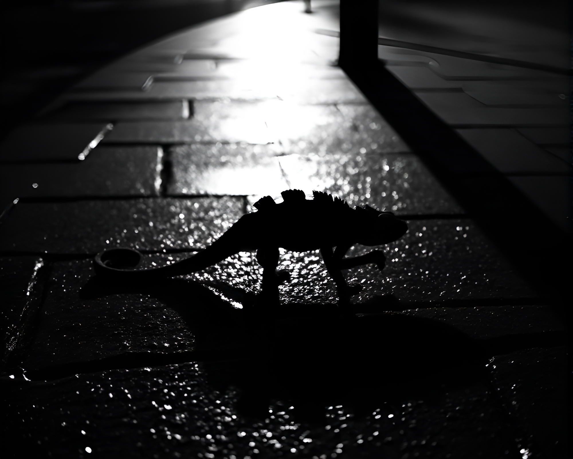 Chameleon in Eclipse – Film Noir Wet Pavement Scene – free AI stock image