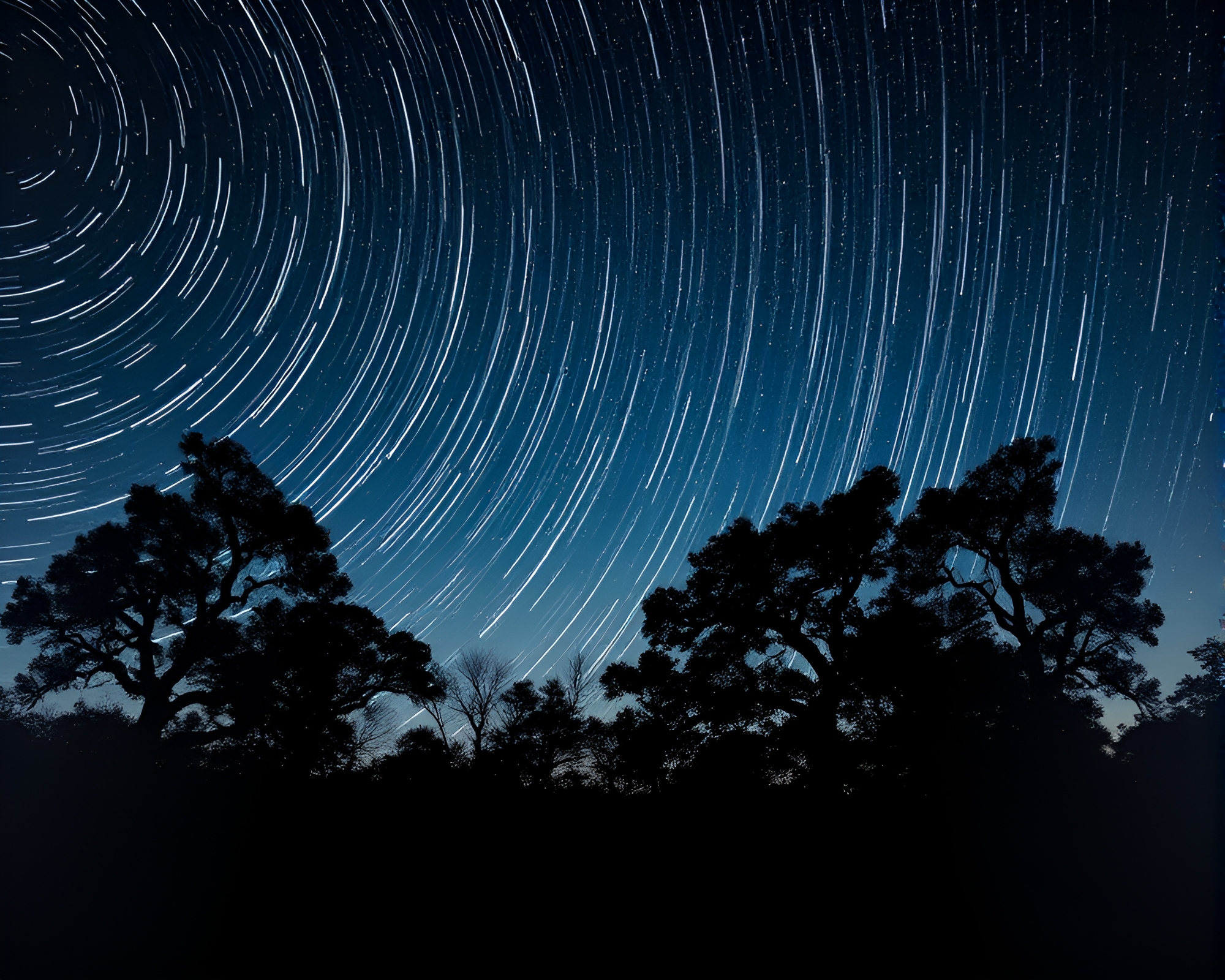 Sapphire Savannah Star Trails Lithograph – free AI stock image