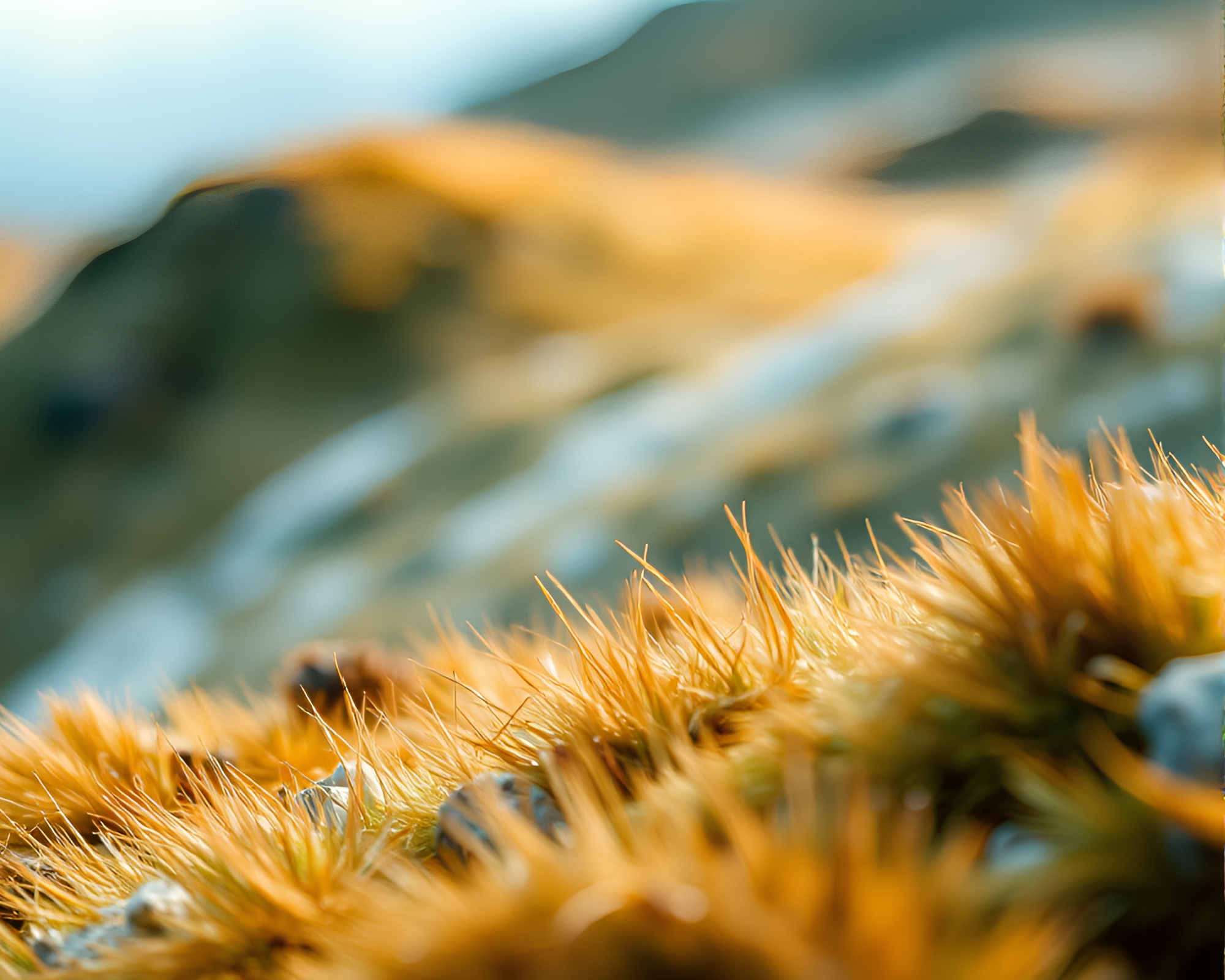 Boreal Forest Serenity: Digital Macro Painting – free AI stock image