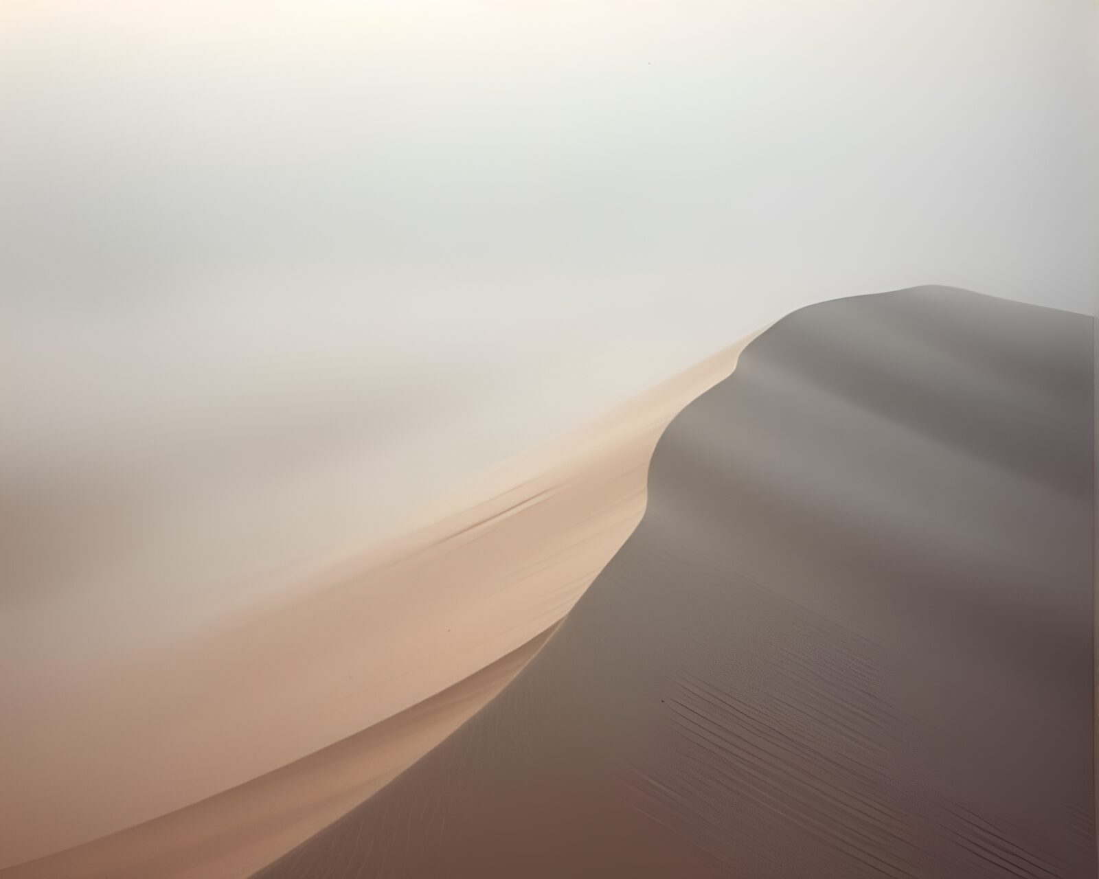 Cloth-covered sand dune shrouded in misty fog