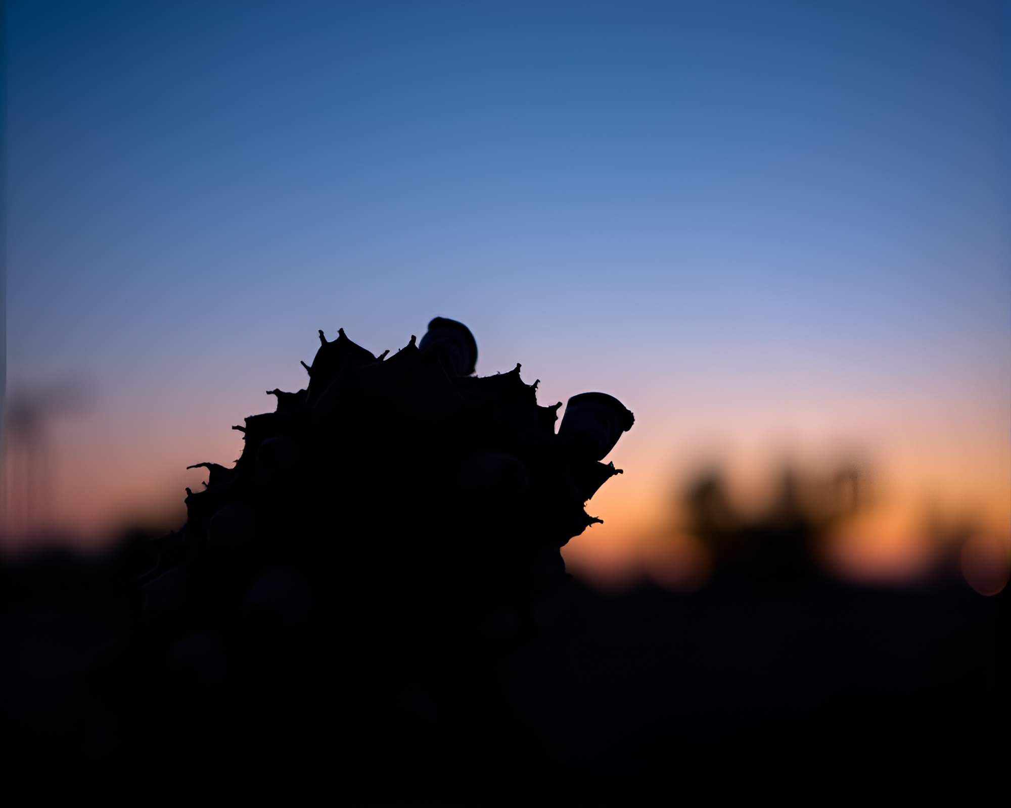 Twilight Solar Eclipse: Focus Stacking Artwork – free AI stock image